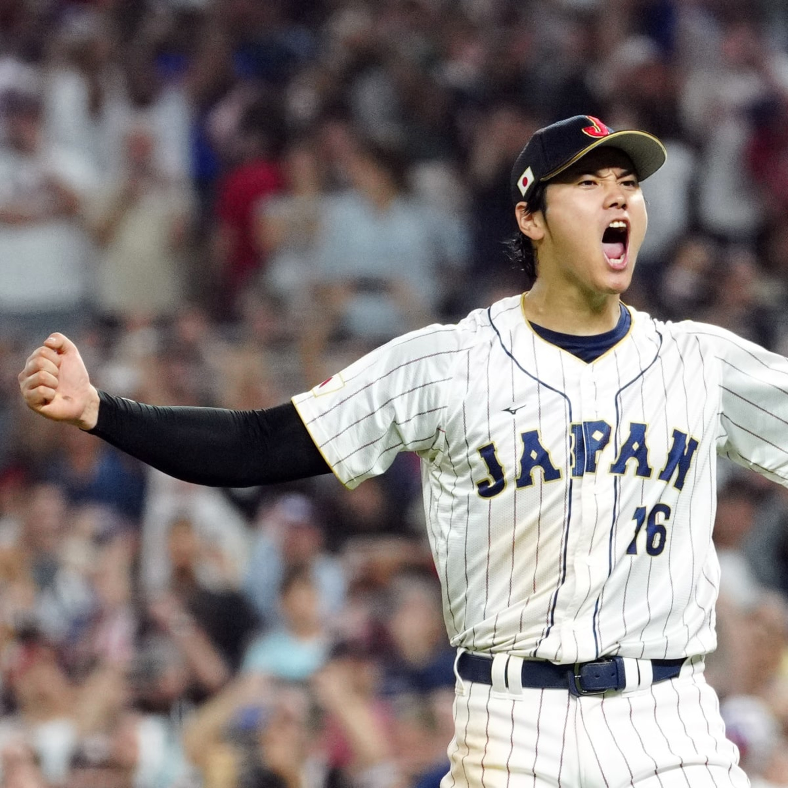 Shohei Ohtani to skip Japan camp ahead of World Baseball Classic - The  Japan Times