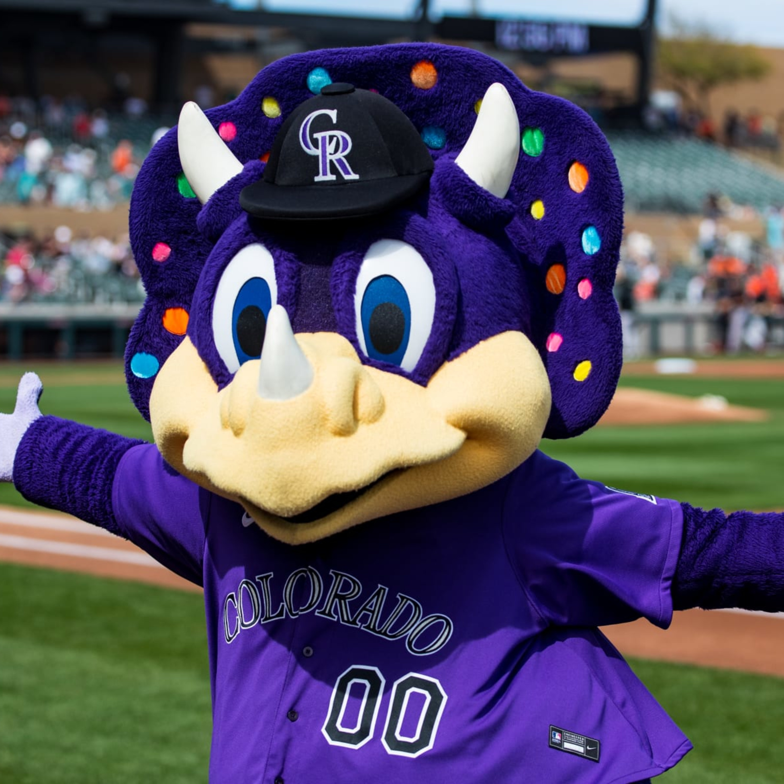 Denver Police Investigating Fan Who Tackled Rockies Mascot Dinger on Video, News, Scores, Highlights, Stats, and Rumors
