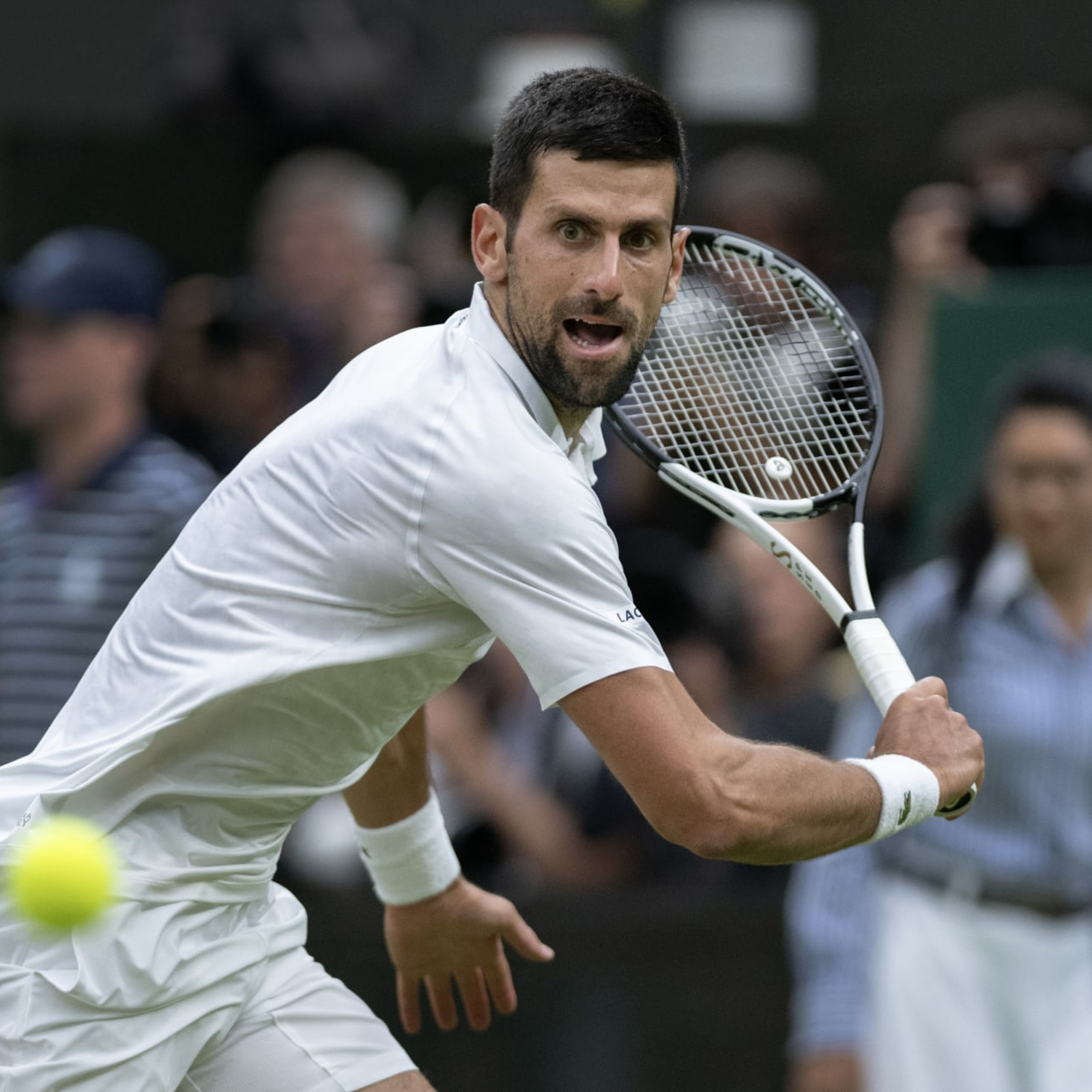 Wimbledon Tennis 2023 Mens Final Carlos Alcaraz vs