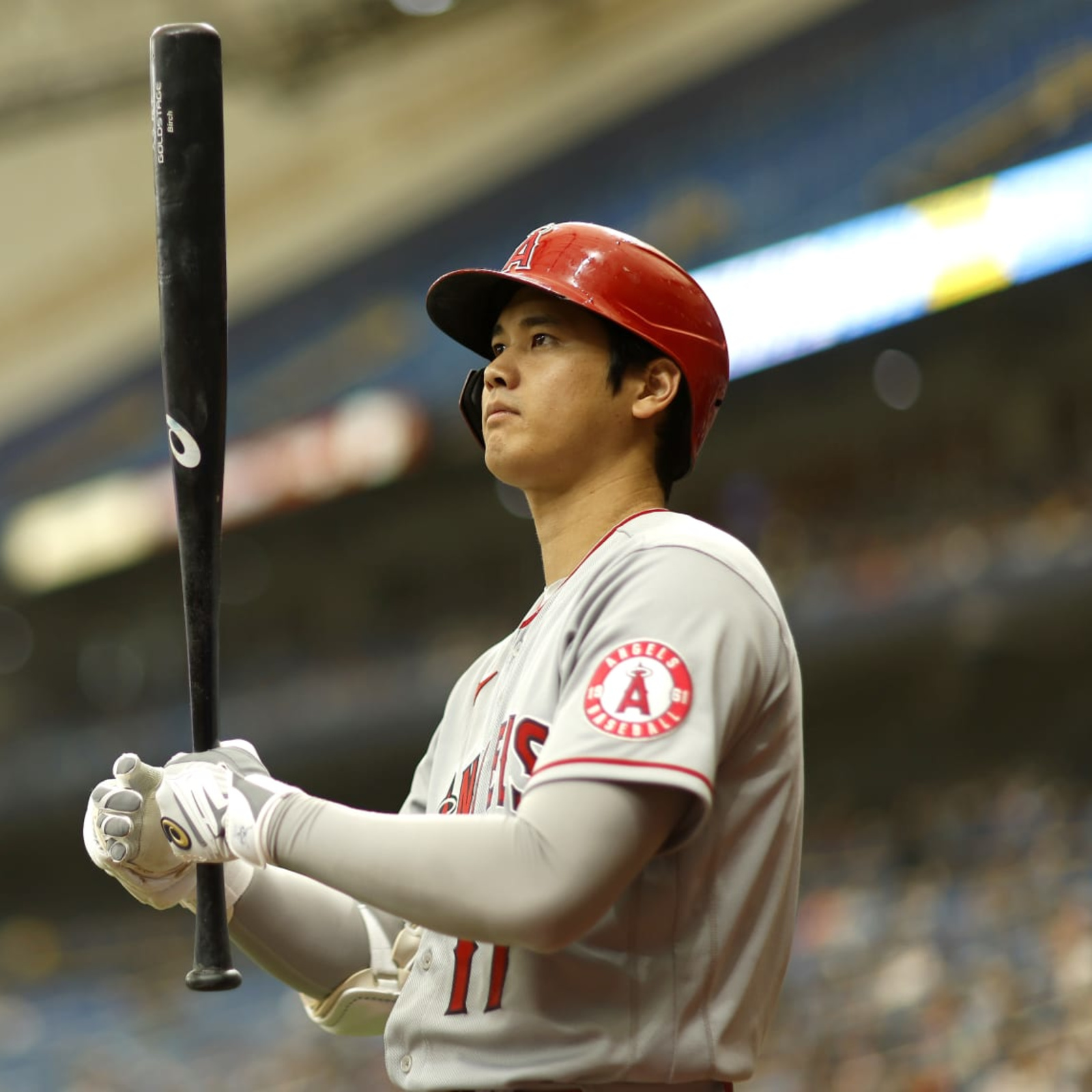 MLB Insider Buster Olney Lists Texas Rangers as Possible Trade Partner for  Shohei Ohtani - Sports Illustrated Texas Rangers News, Analysis and More