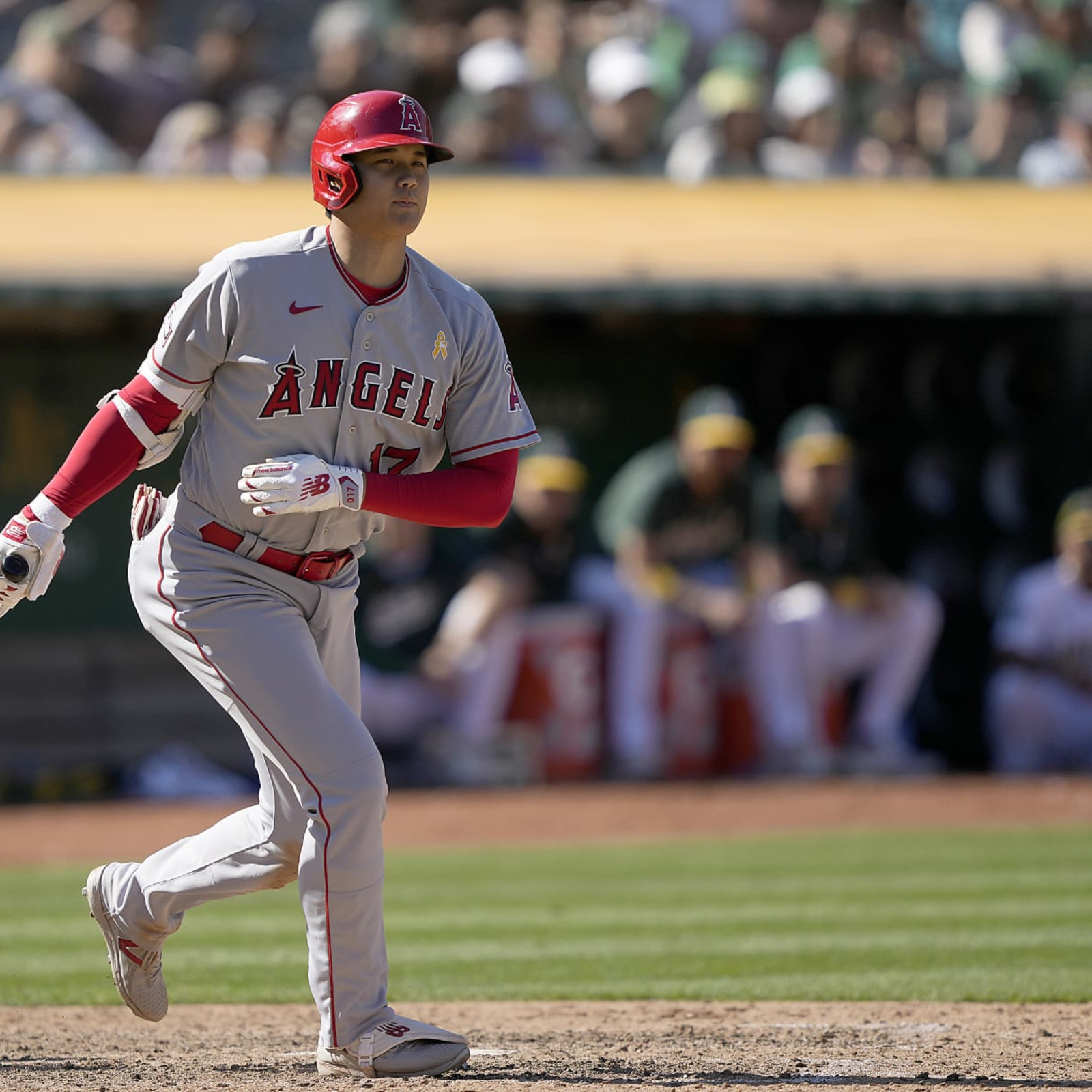 Angels' Shohei Ohtani misses 8th straight game with sore oblique – Orange  County Register