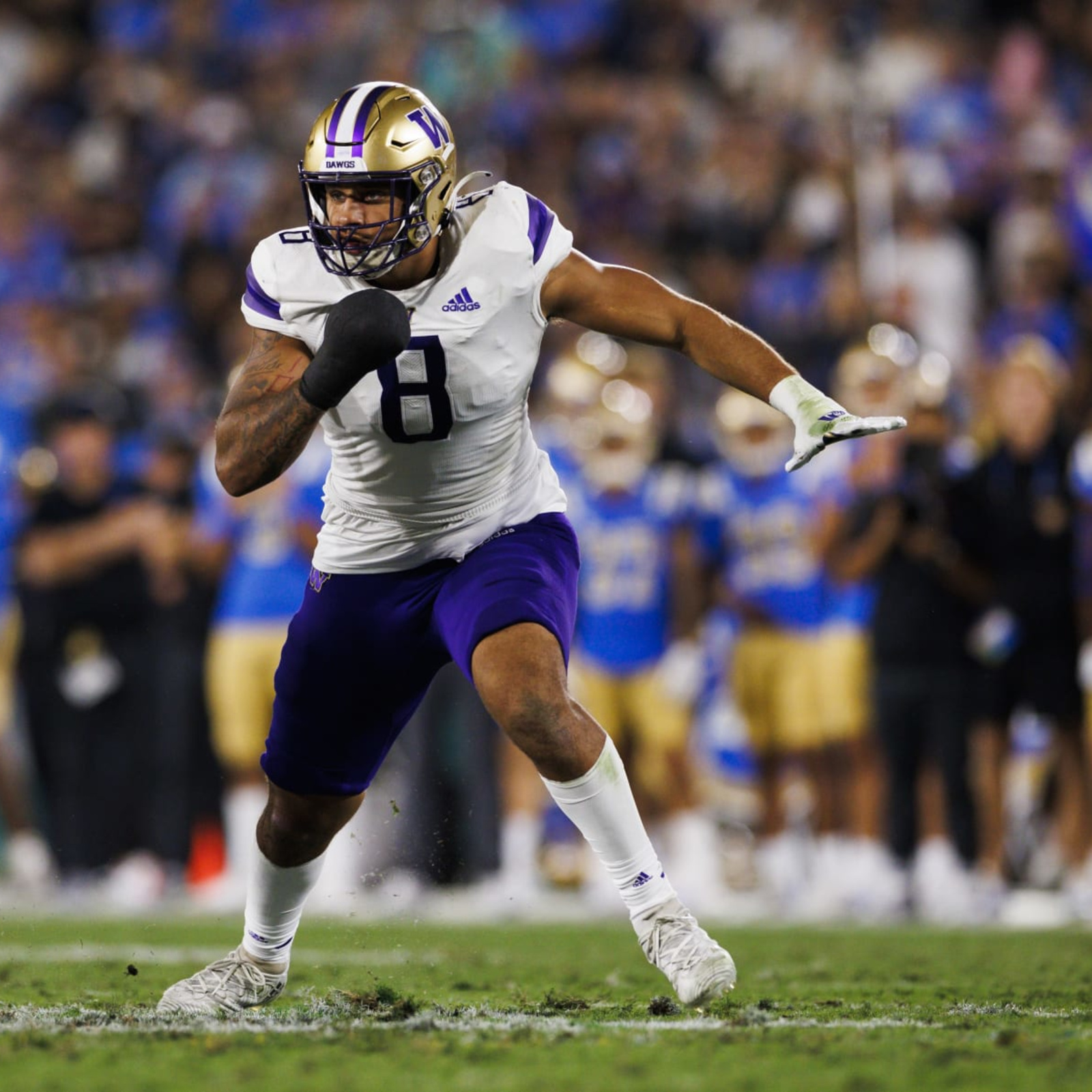 Bralen Trice NFL Draft 2024: Scouting Report for Washington EDGE | News,  Scores, Highlights, Stats, and Rumors | Bleacher Report