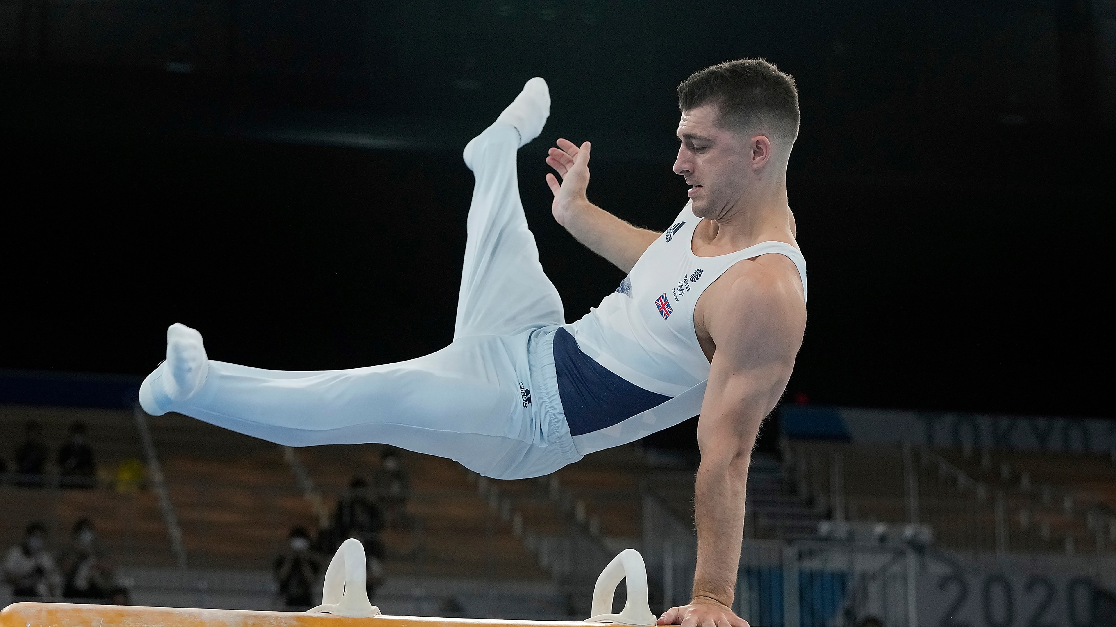 Olympic Men's Gymnastics 2021 Pommel Horse Medal Winners, Scores and