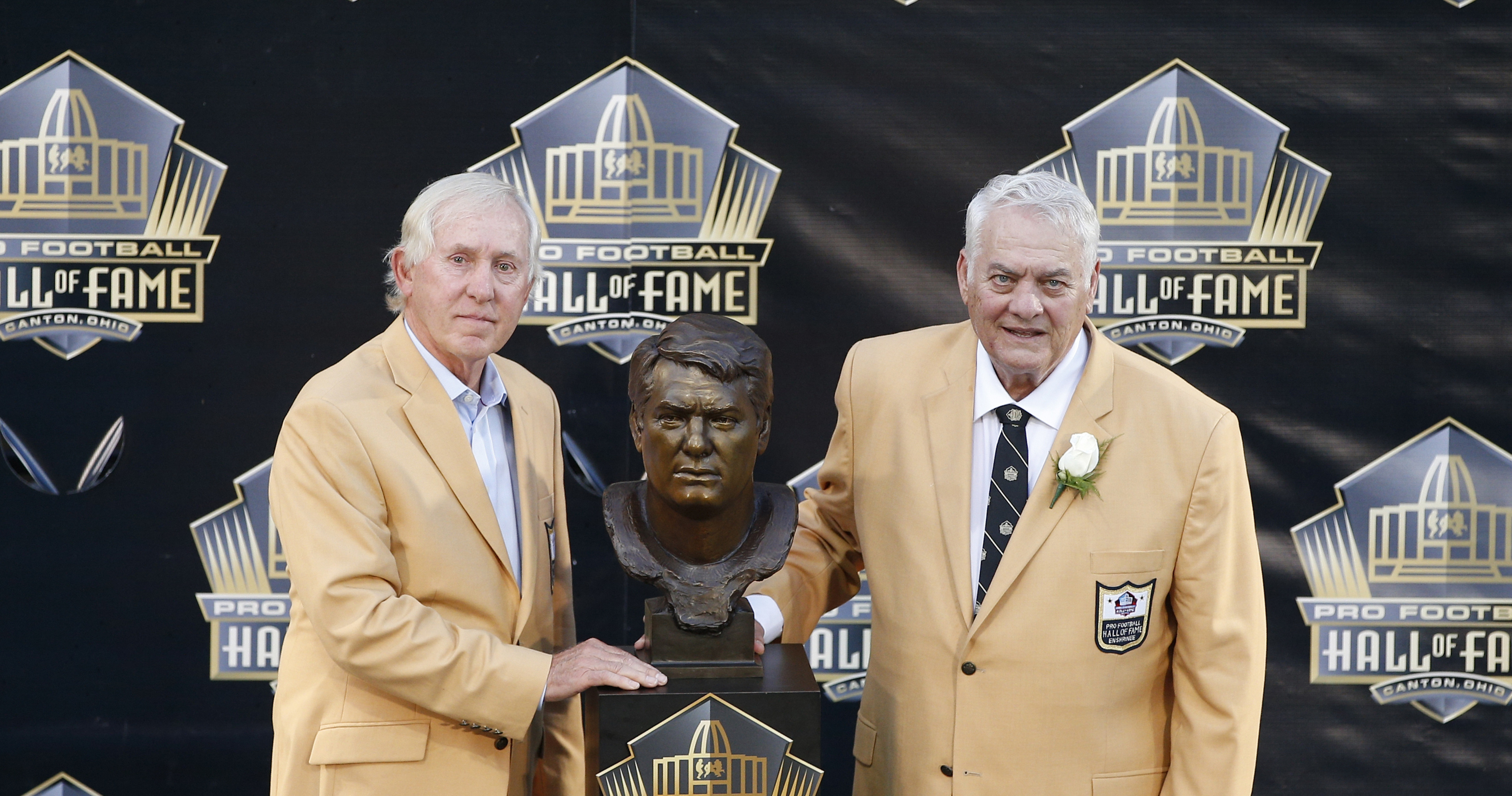 Minnesota Vikings owners donated $1 million to Pro Football Hall of Fame