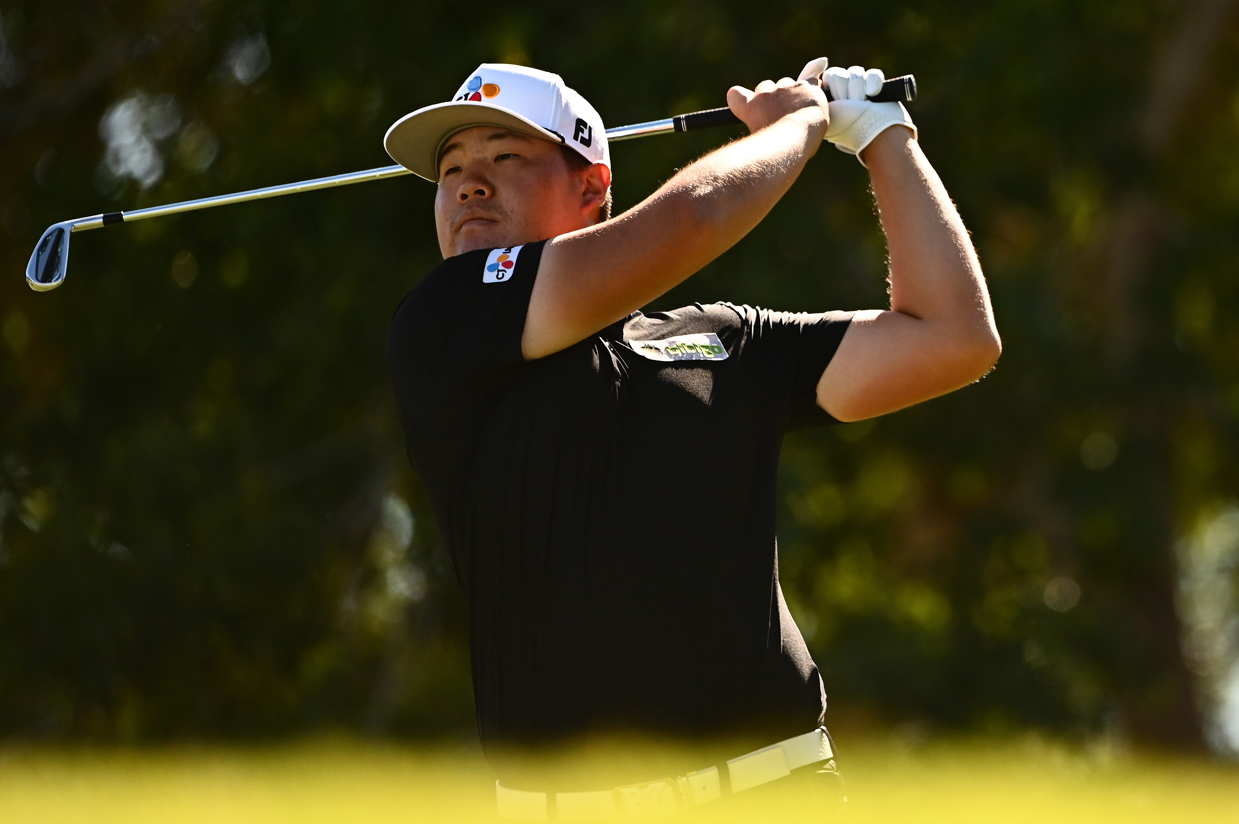 Shriners Golf Leaderboard 14 - s0l87ej