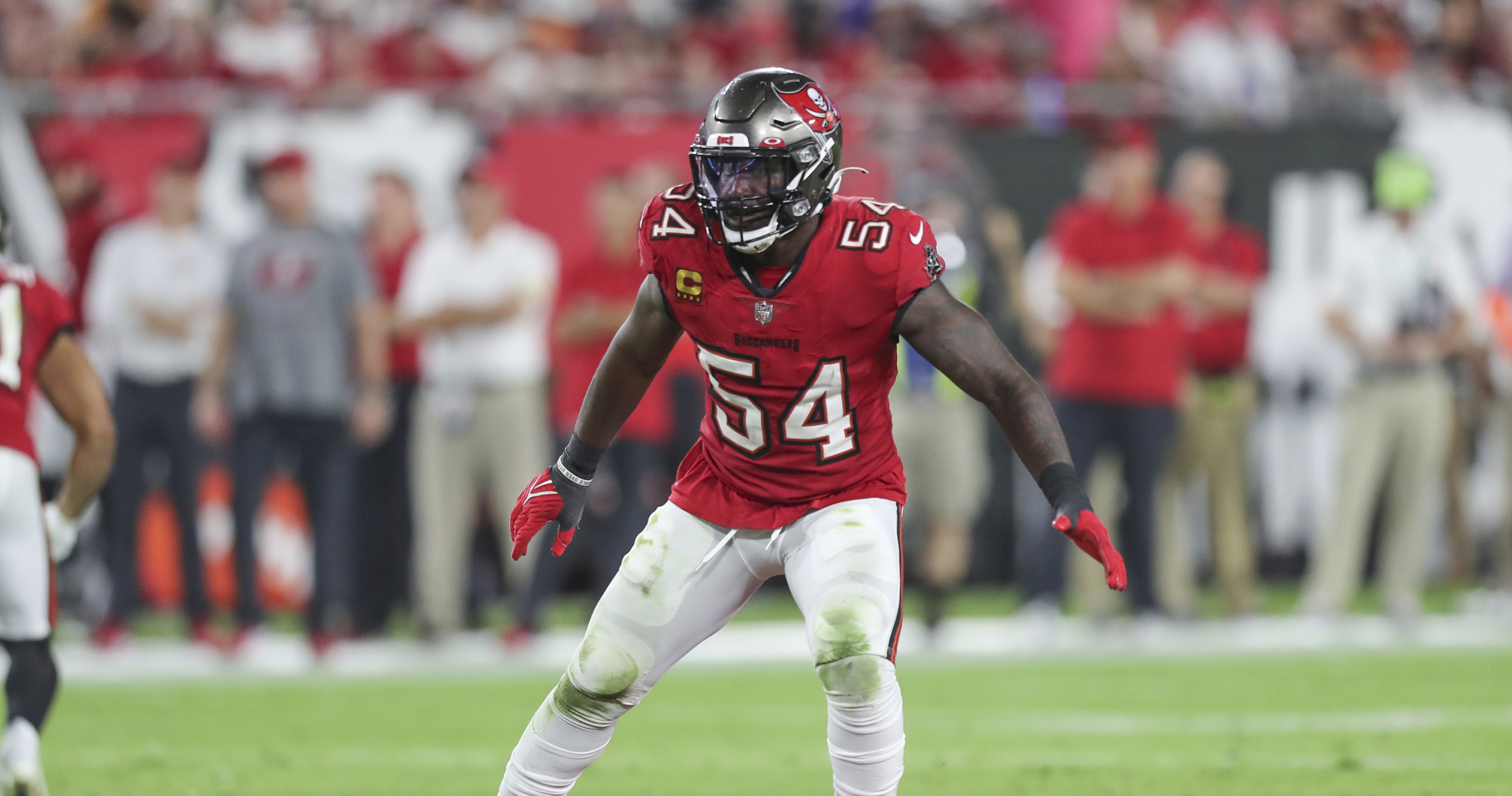 Report: Bucs' Lavonte David to Miss Rest of Regular Season Because of Foot  Injury, News, Scores, Highlights, Stats, and Rumors