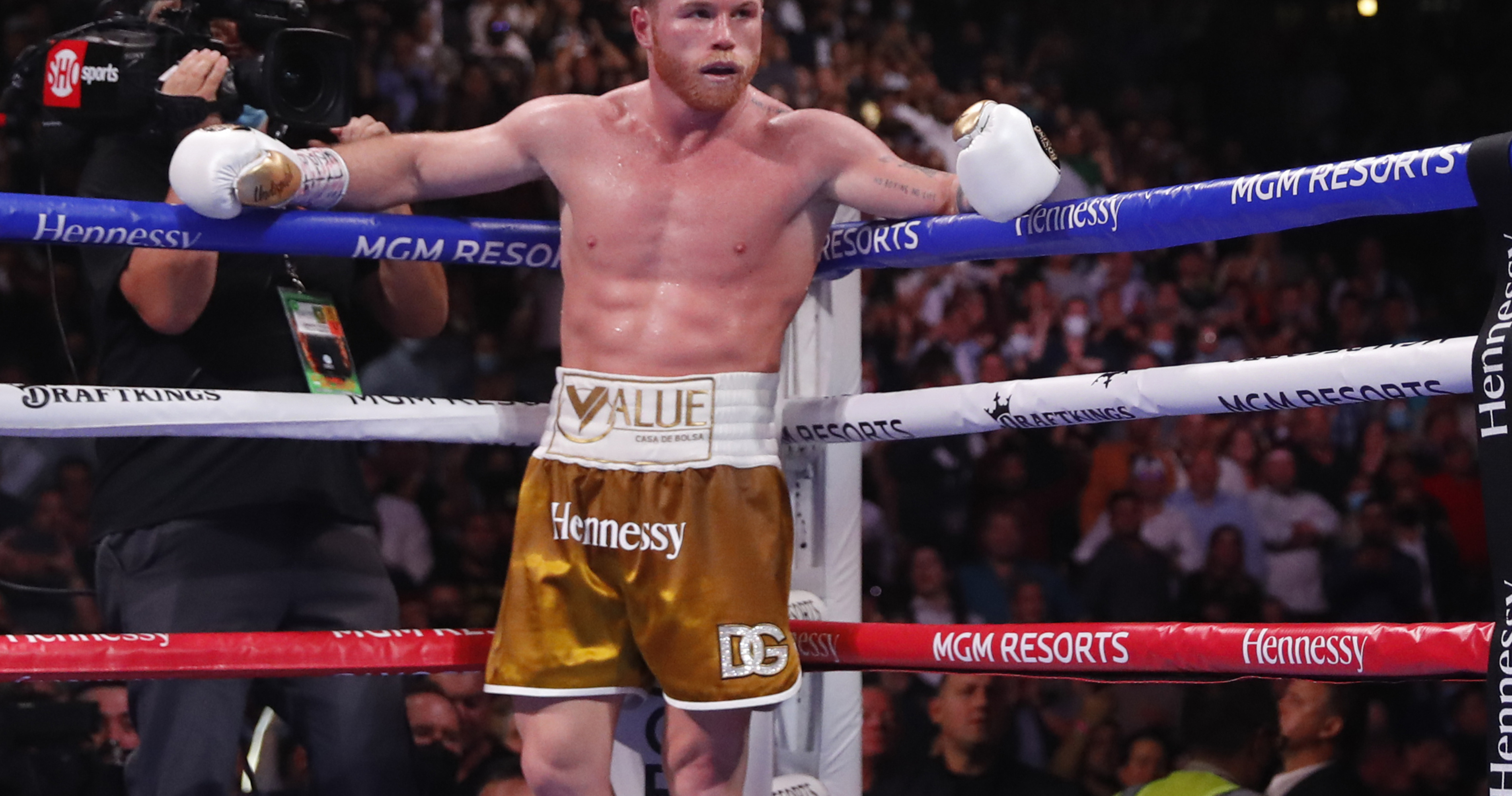 Report Canelo Alvarez Offered 2 Fight Contract To Face Bivol Golovkin   Apwqpyqlnovhhhkle4de 