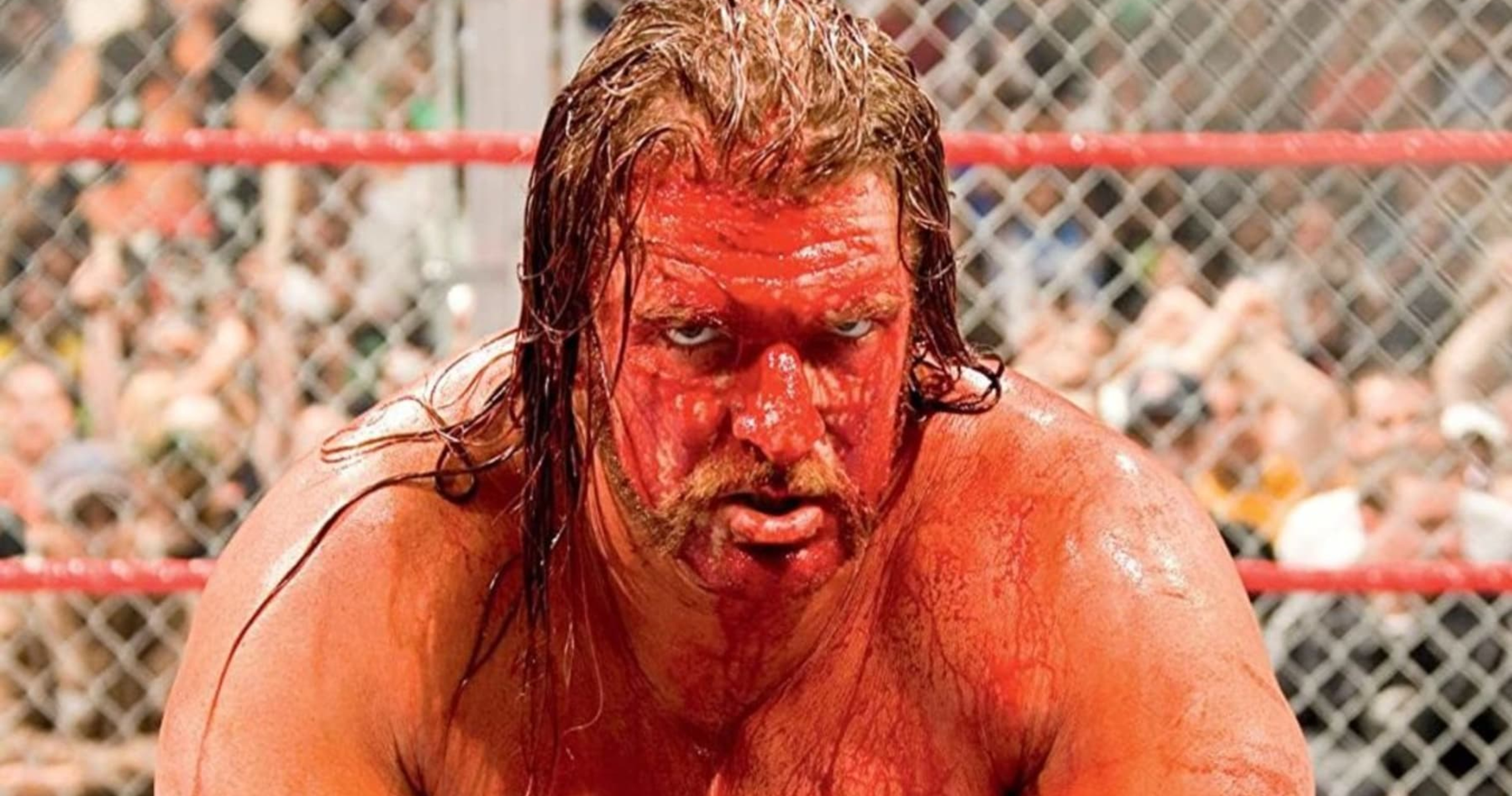 Triple H Is Right, WWE Doesn't Need More Blood | News, Scores, Highlights,  Stats, and Rumors | Bleacher Report