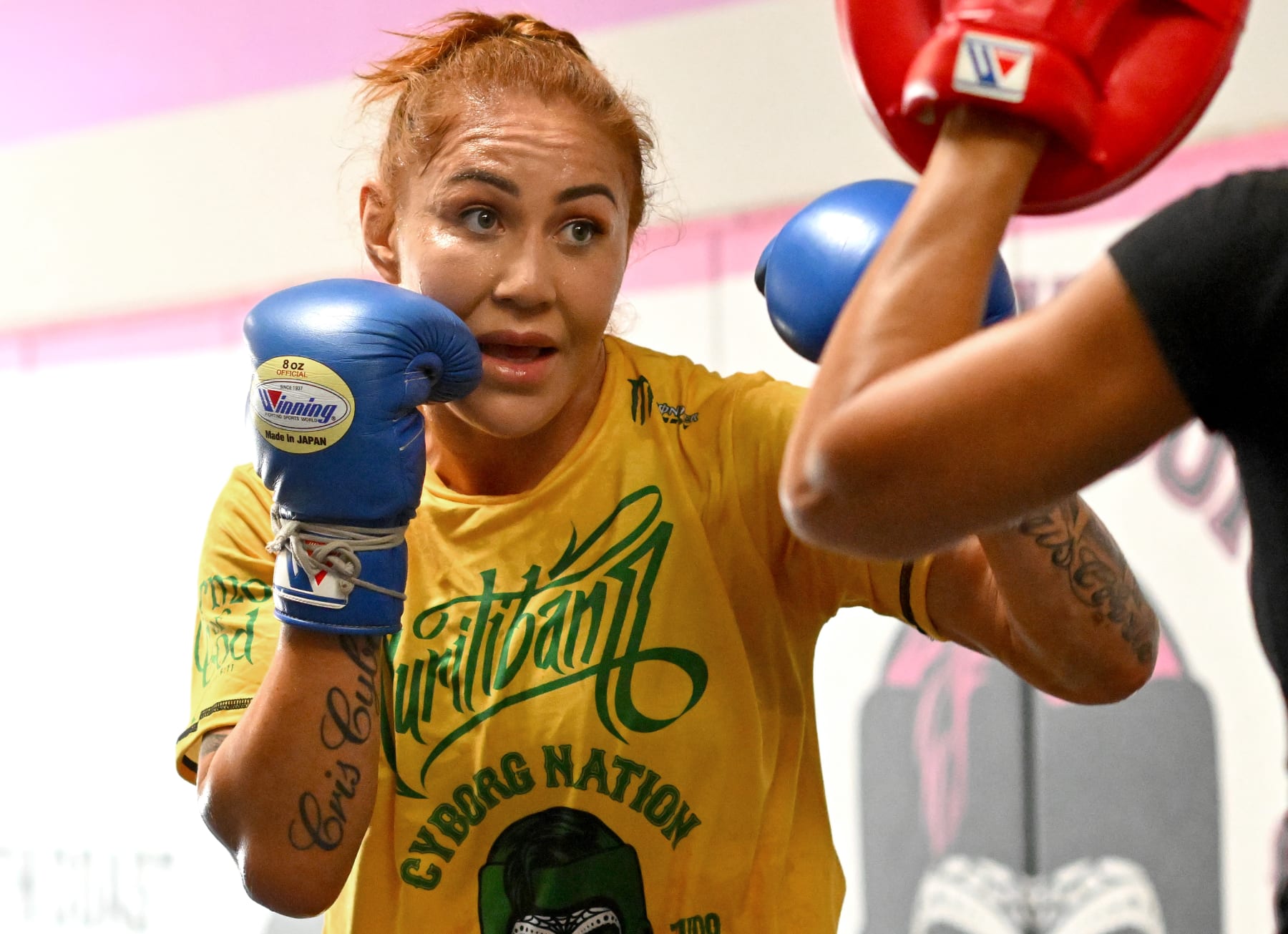 Cris Cyborg vs picture