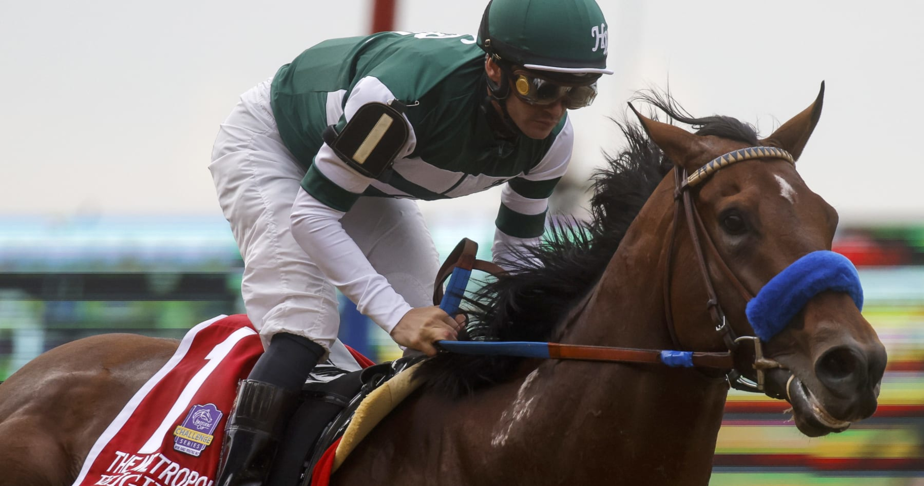 Breeders' Cup 2022 Post Positions Horses, PrizeMoney Predictions and