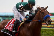 Breeders Cup 2022 Post Positions Horses Prize Money Predictions And 