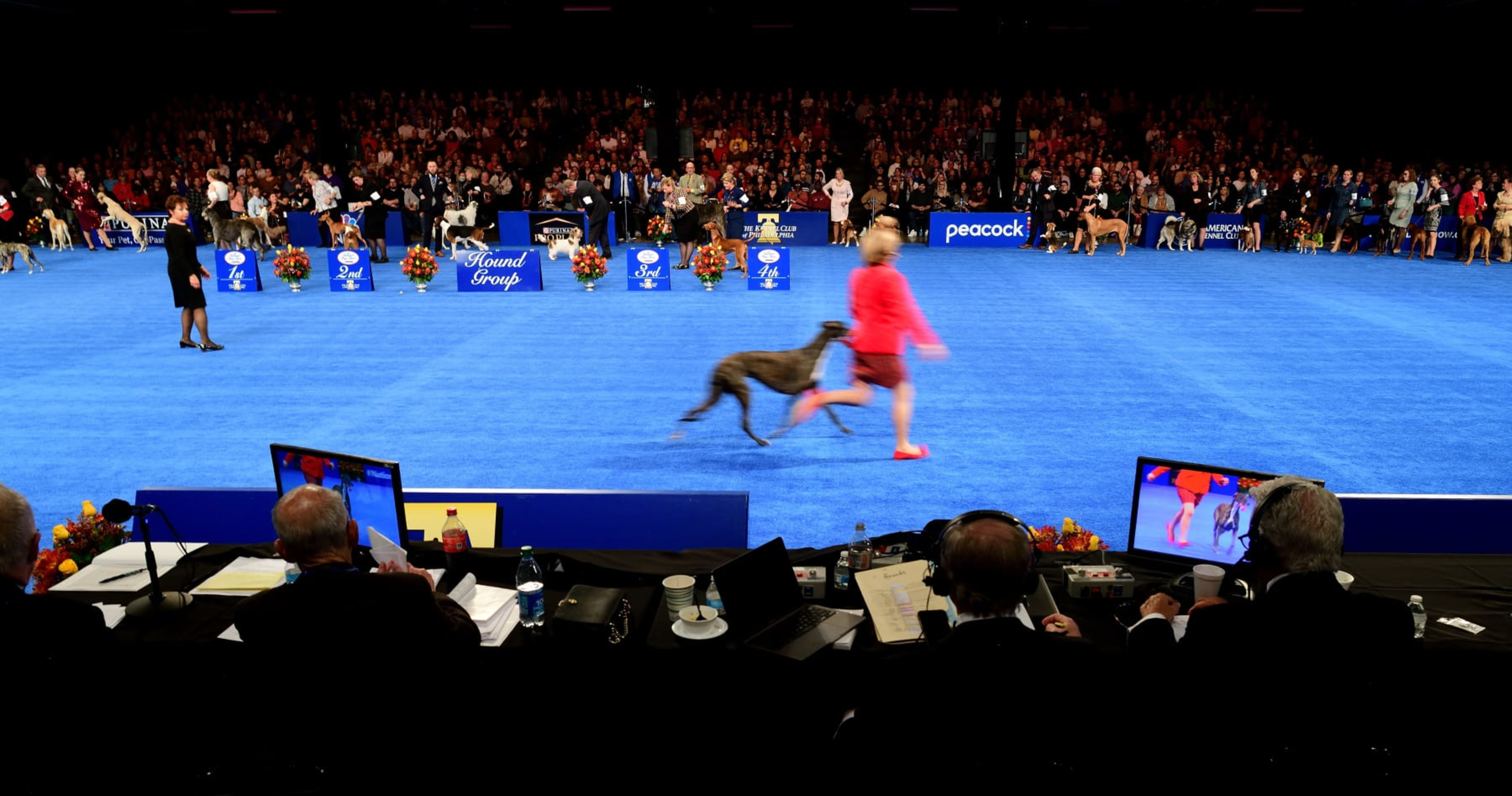 National Dog Show 2022 Results Best in Show and List of Winners News