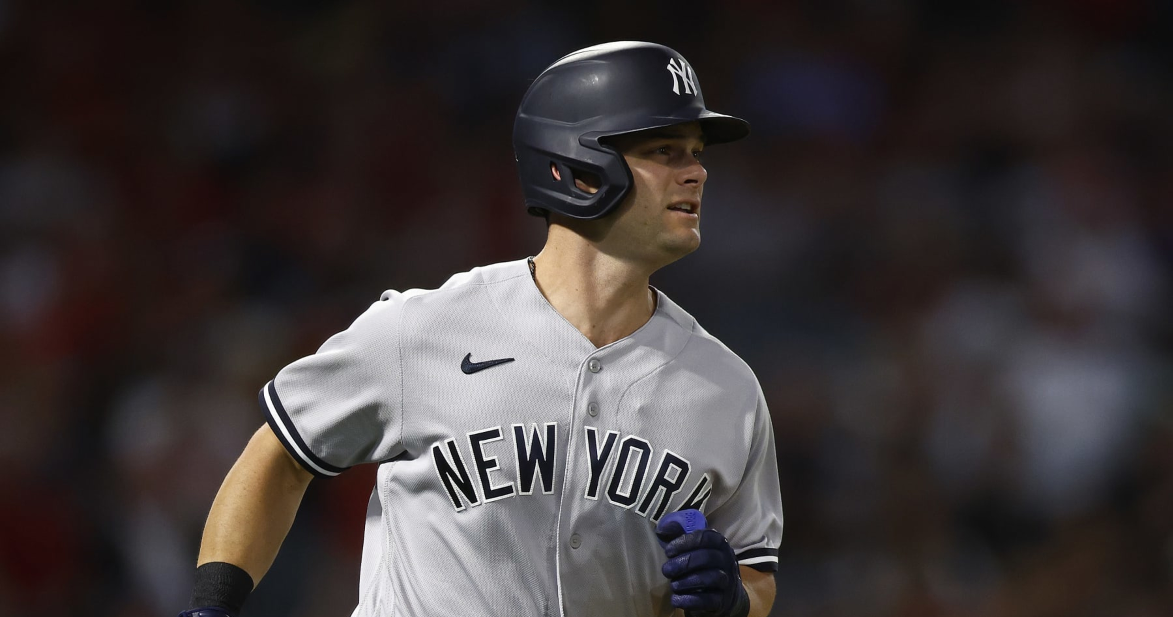 Yankees Rumors: Andrew Benintendi 5-Year Contract Doesn't Interest NY in  Free Agency, News, Scores, Highlights, Stats, and Rumors