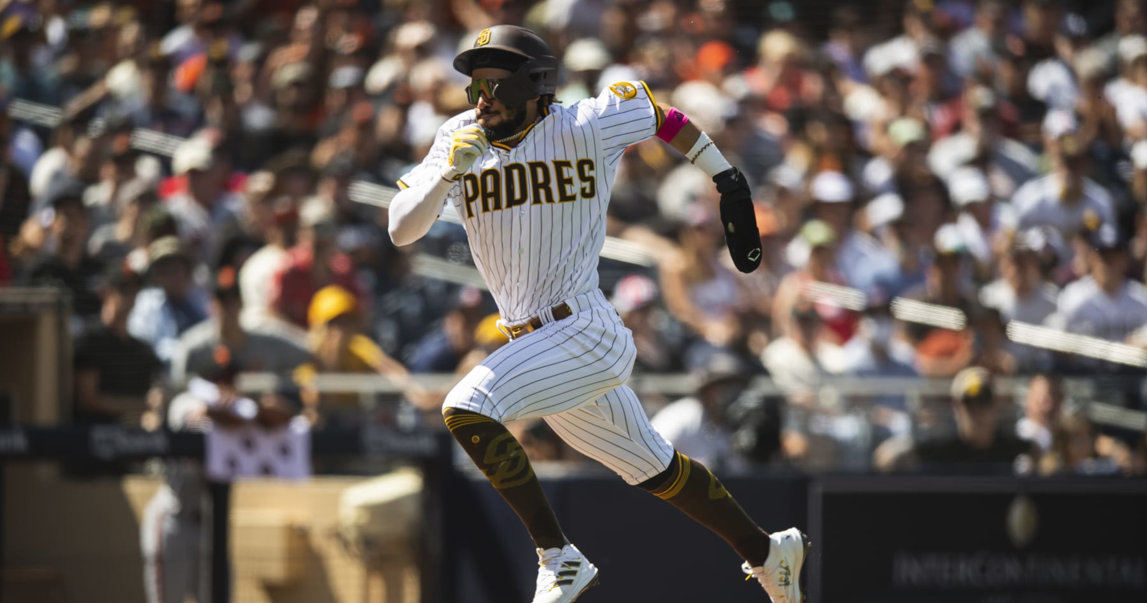 Report: Padres' Fernando Tatis Jr. Cleared for Baseball Activities After Injuries