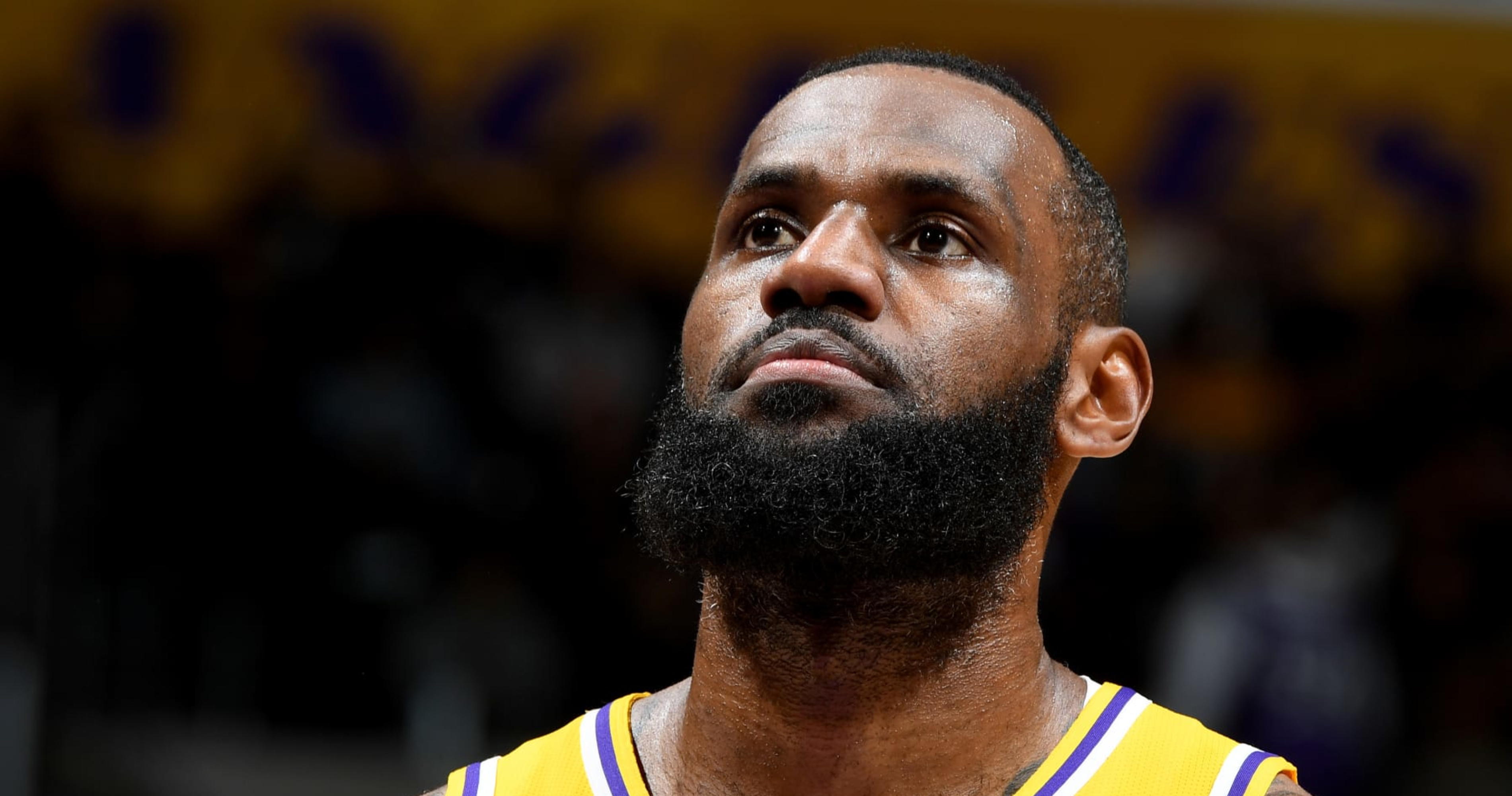 LeBron James is buying a pickleball team