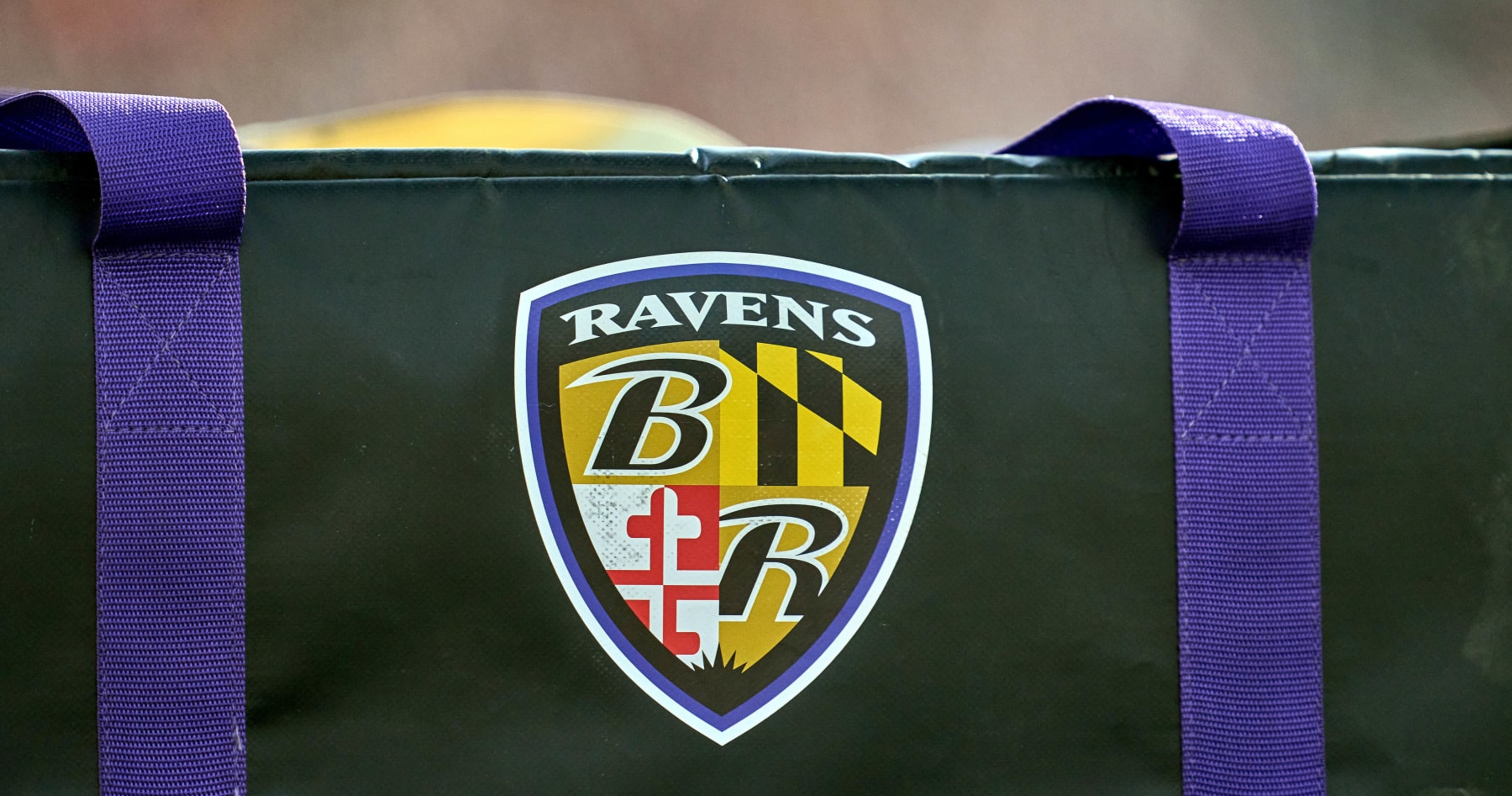 Report: Ravens Speak to Byron Leftwich About OC Job