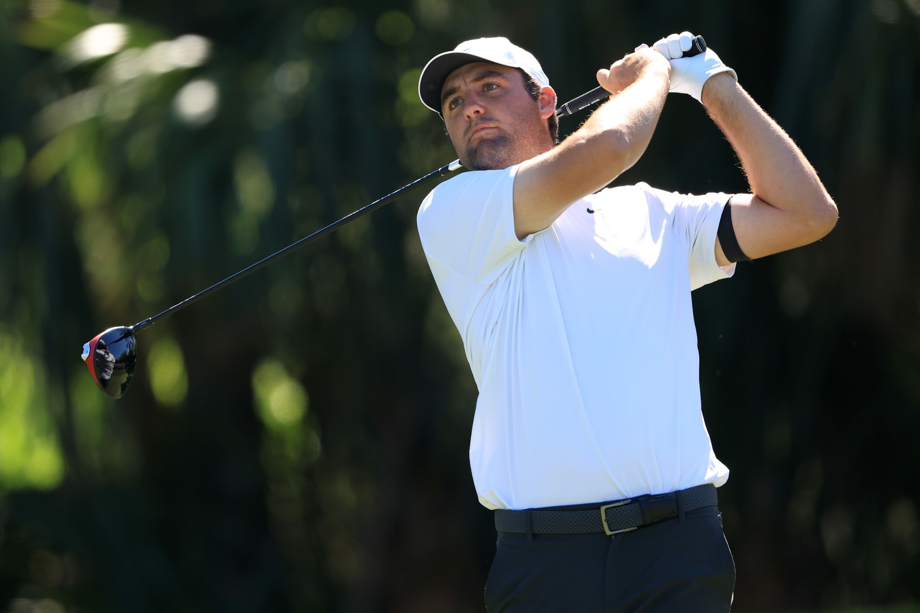 Live Oak, Texas visual data 5