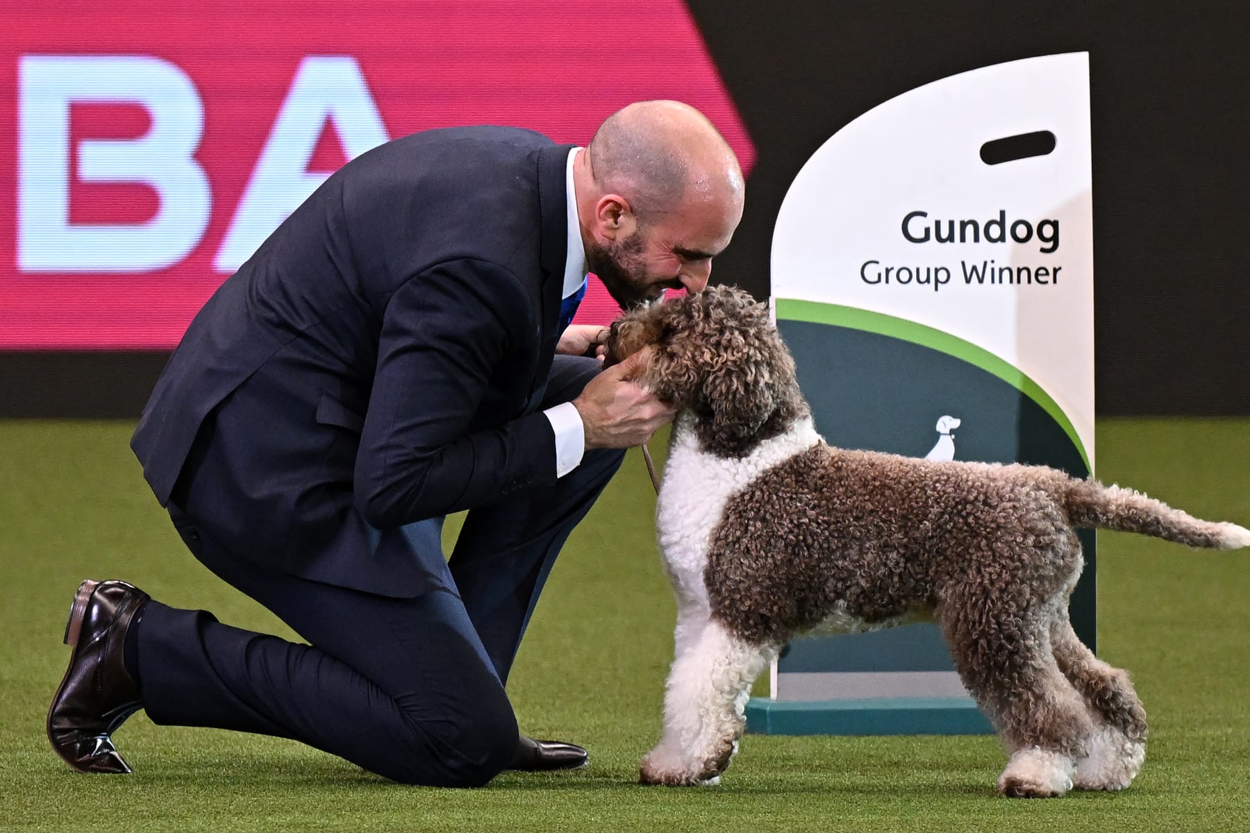 Crufts Dog Show 2023 Results Final Winners, Top Photos and Reaction