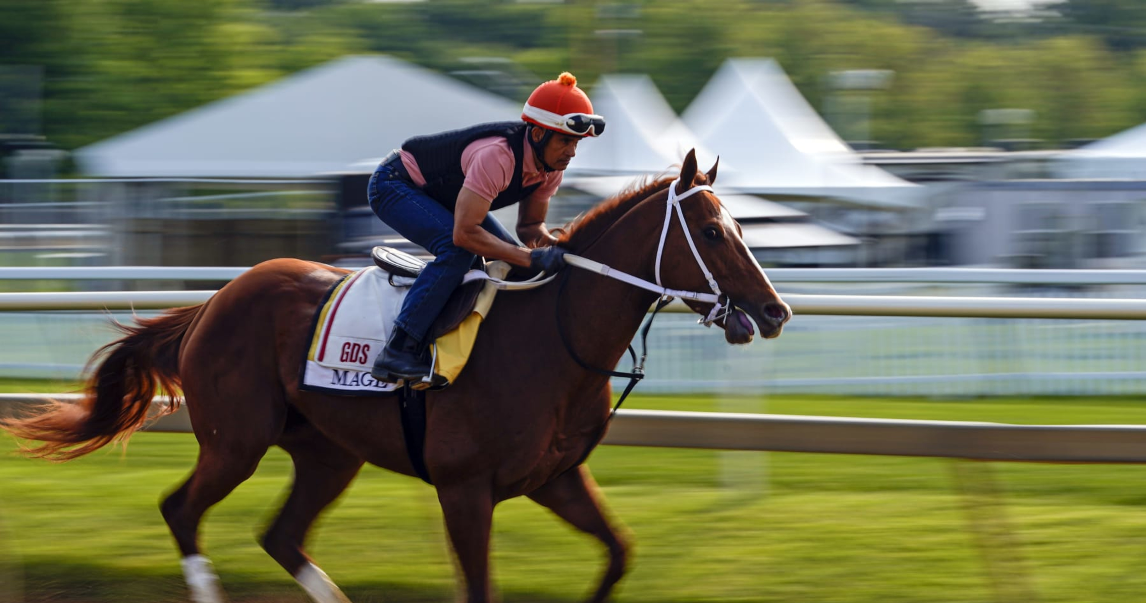 Preakness 2023 Post Positions Horse Odds, Prize Money Predictions and