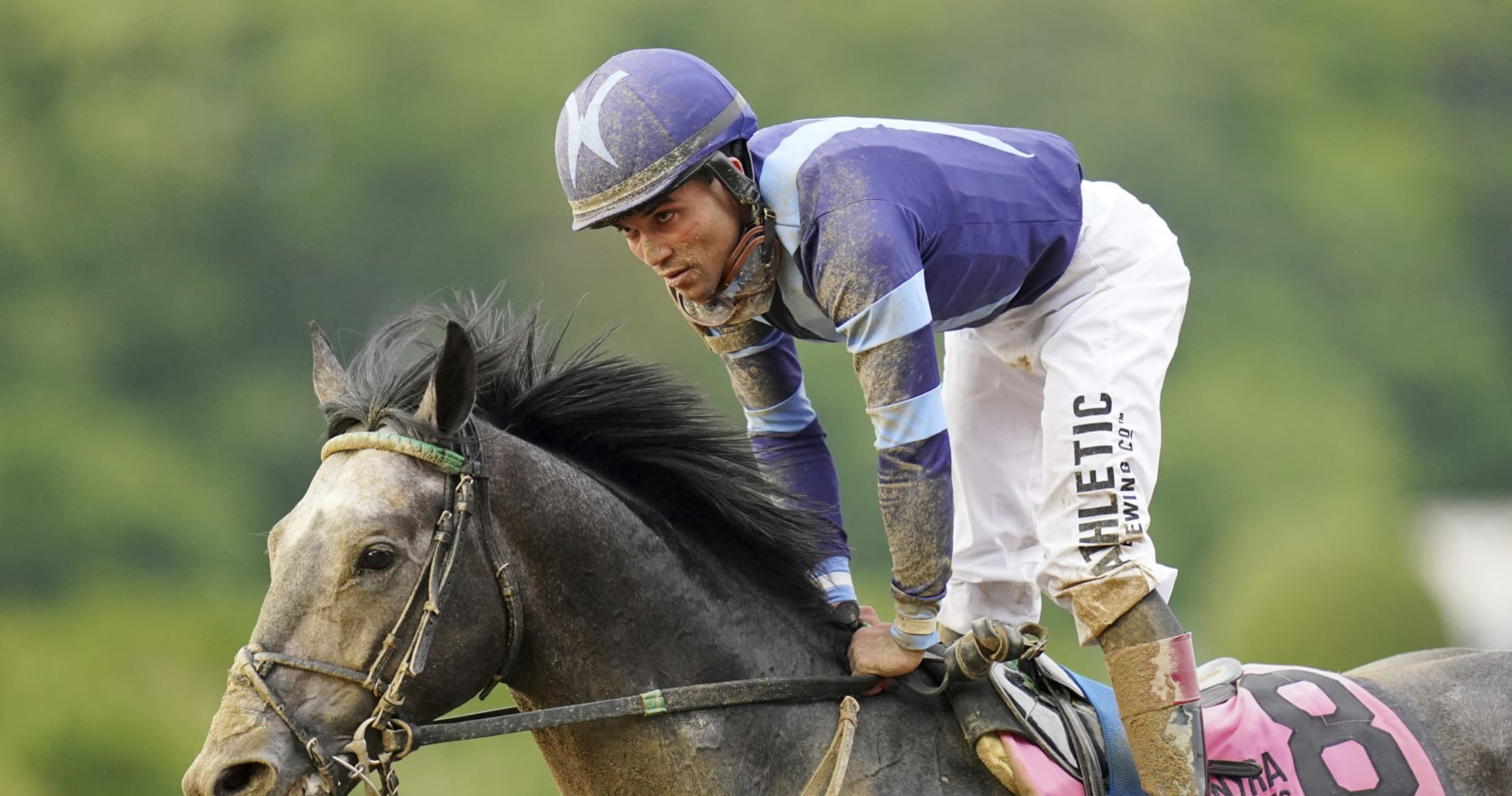 Belmont Stakes 2023 Contenders Odds, Jockey and Pedigree Info for High
