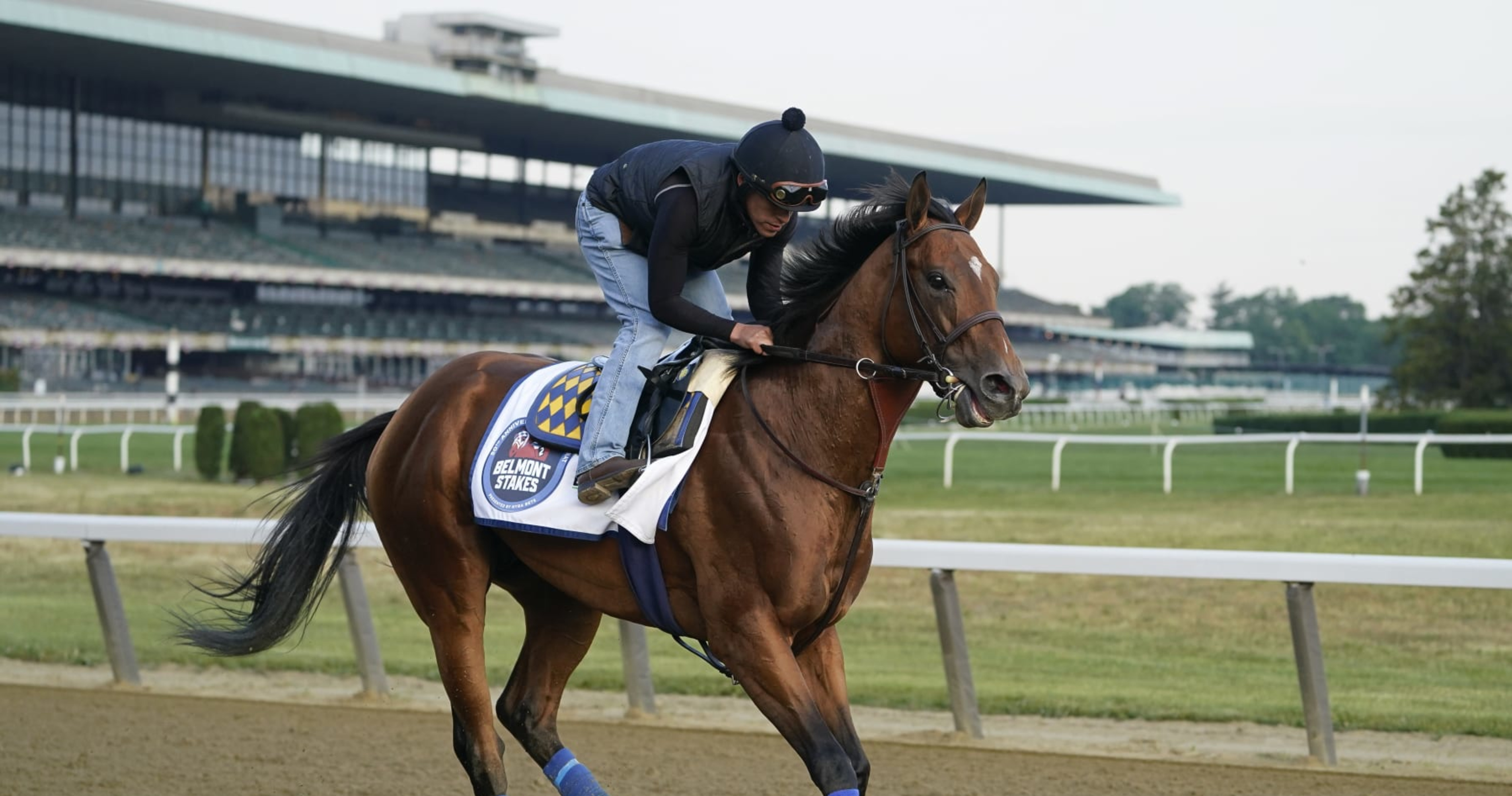Belmont Stakes Odds 2023 Final Predictions on Latest Vegas Betting