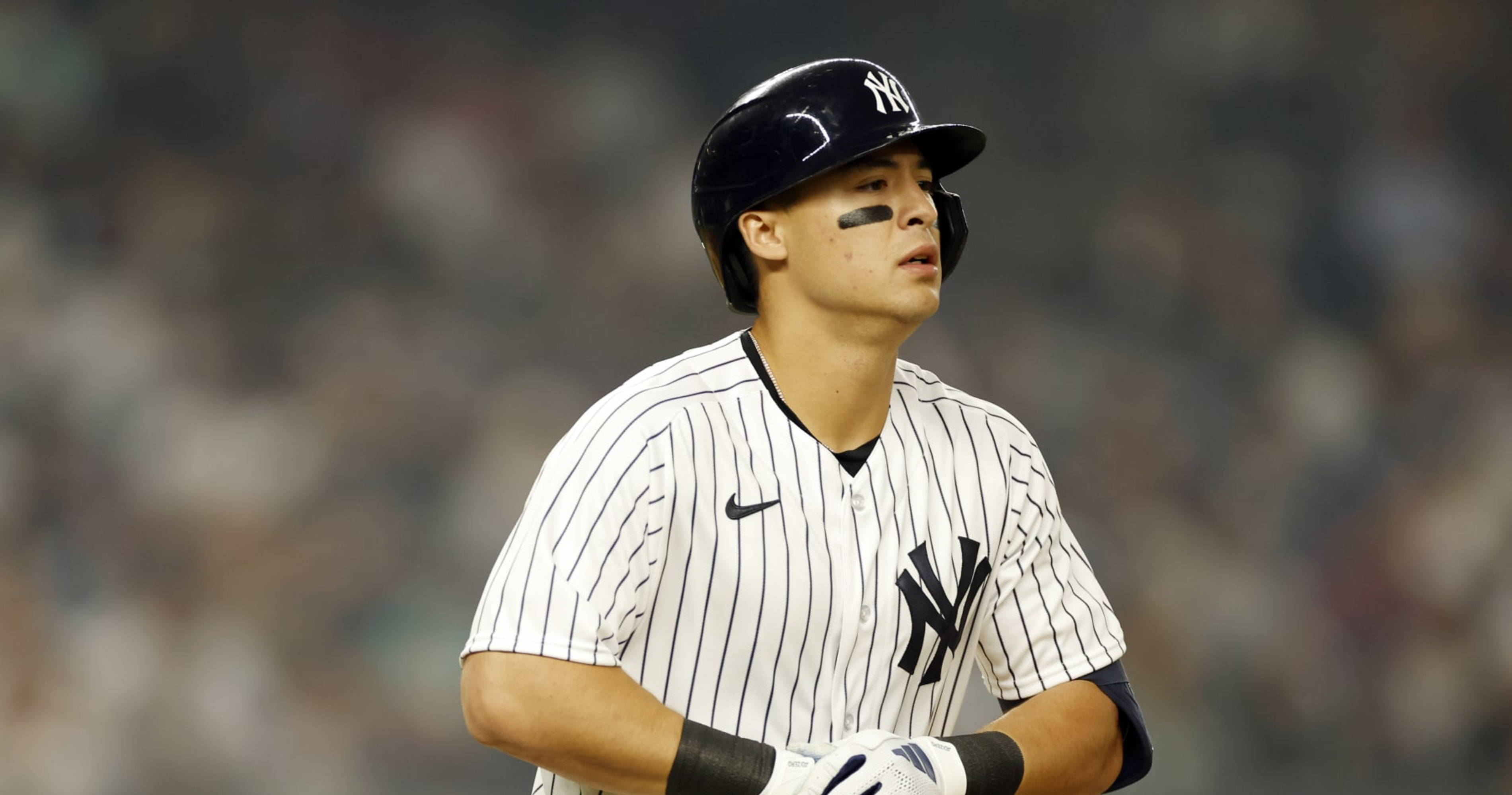 There's A Bunch - Anthony Volpe Claims New York Yankees Have No