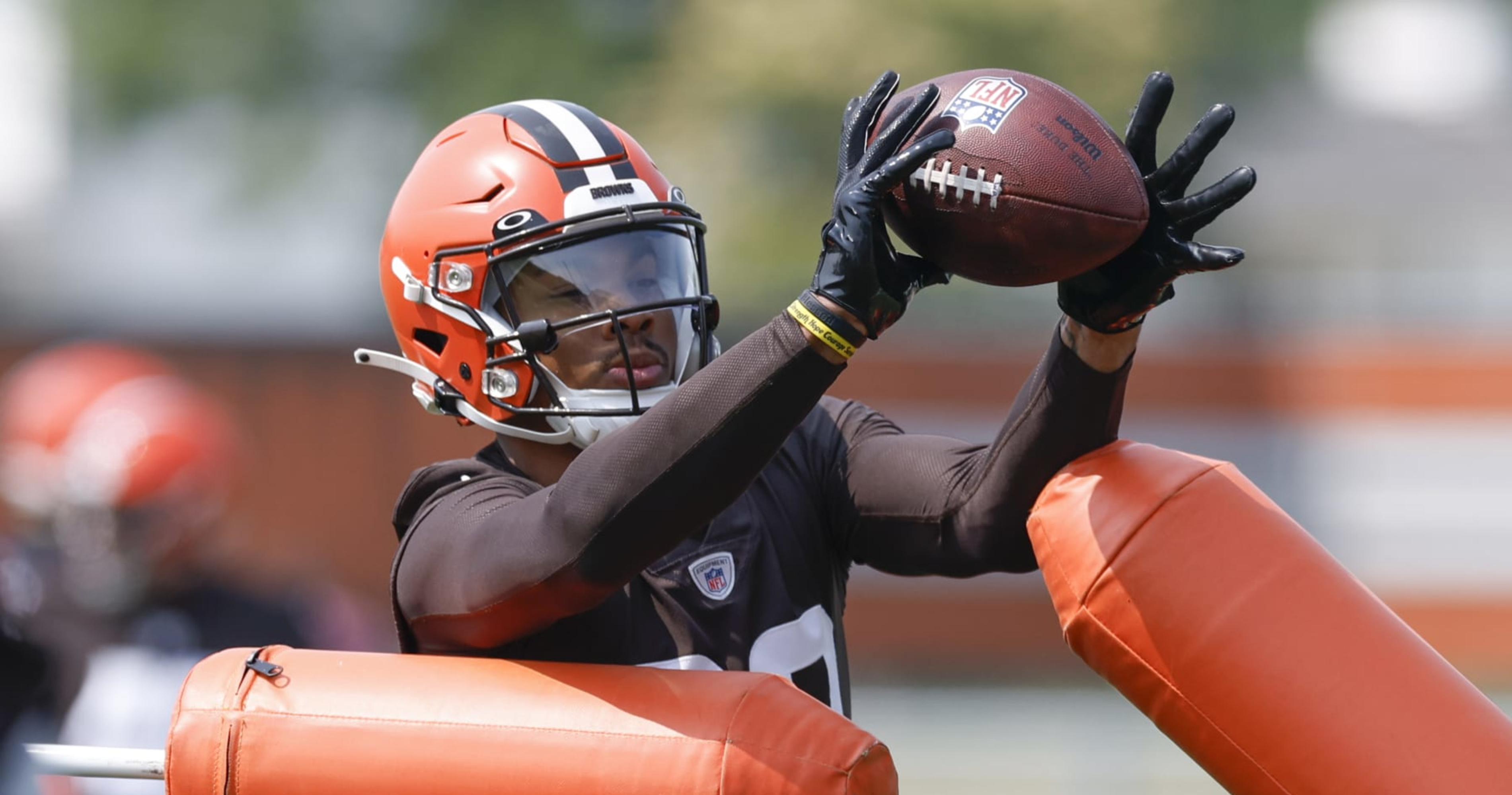 Nfl Cleveland Browns Mini Helmet : Target