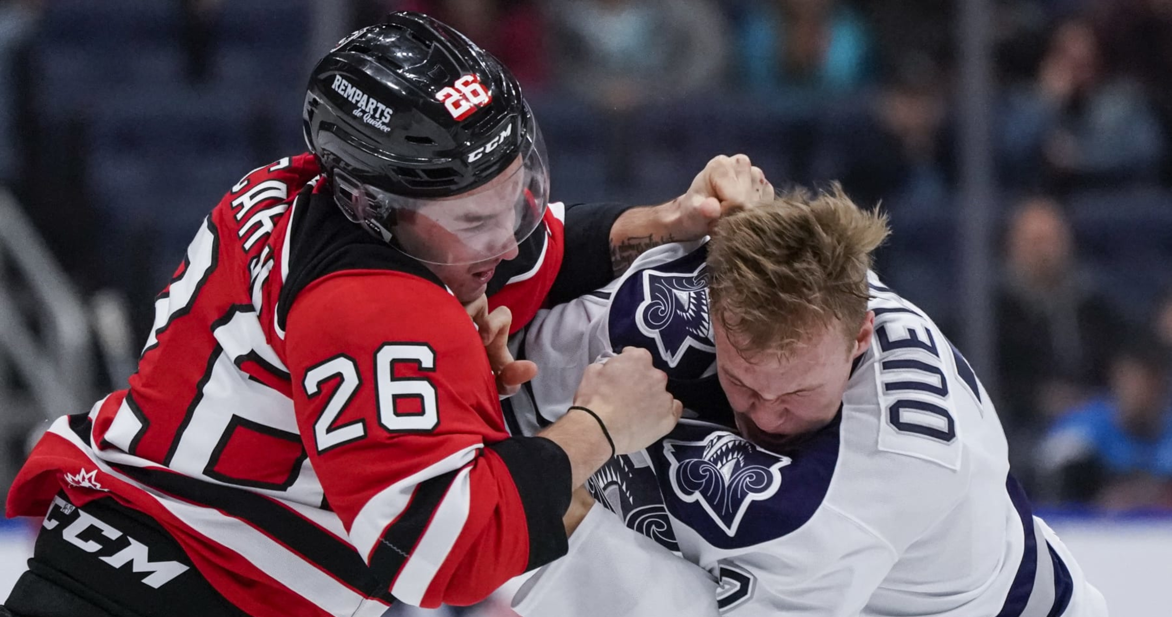 NHL fights from the 2022-23 season