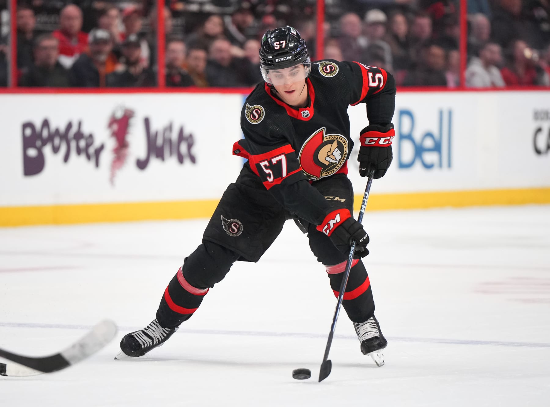 Senators' Shane Pinto Suspended 41 Games for Violating NHL Sports