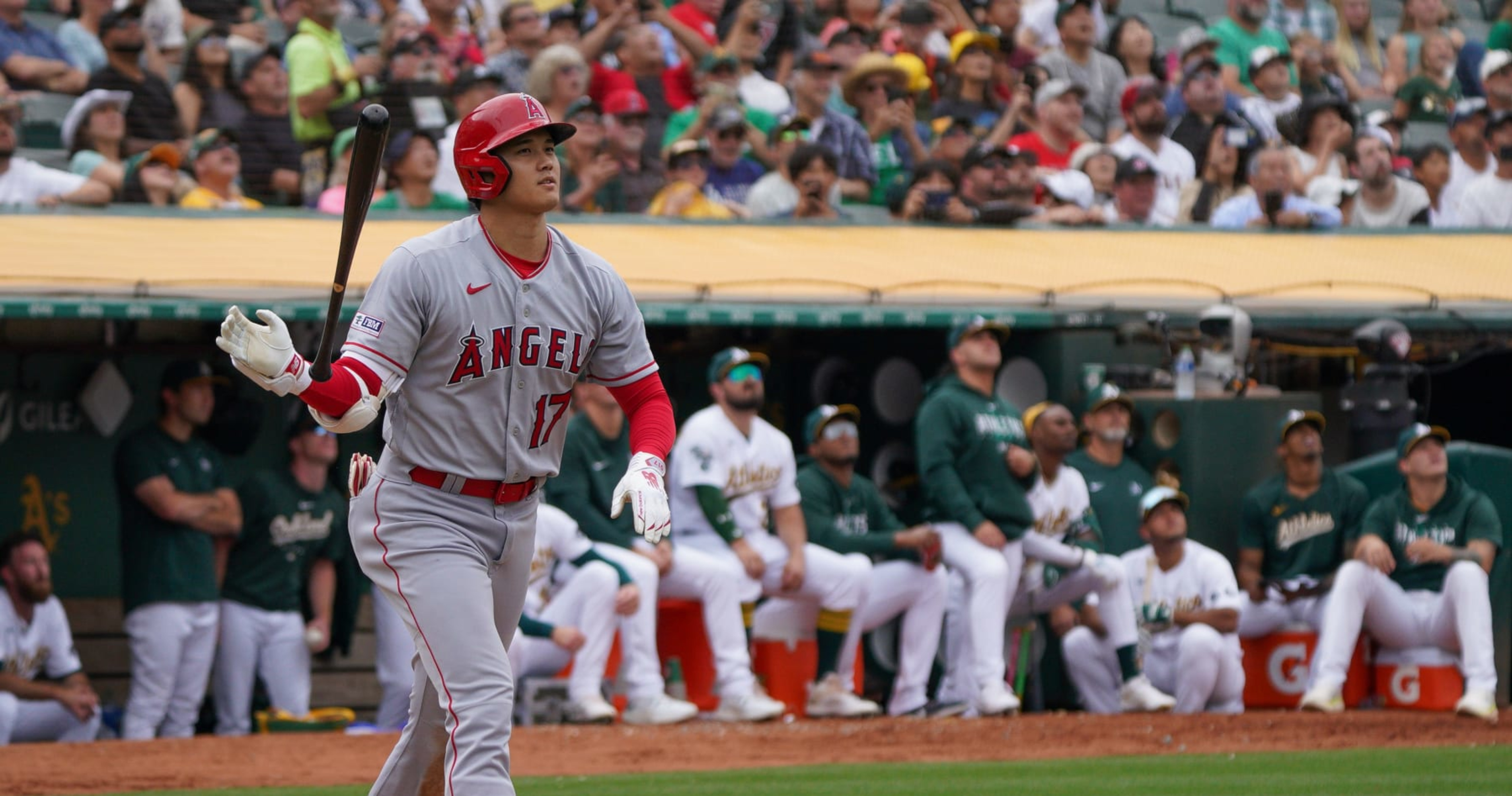 Yankees' Anthony Volpe Endorses Shohei Ohtani Contract Pursuit: 'Best of the Best'