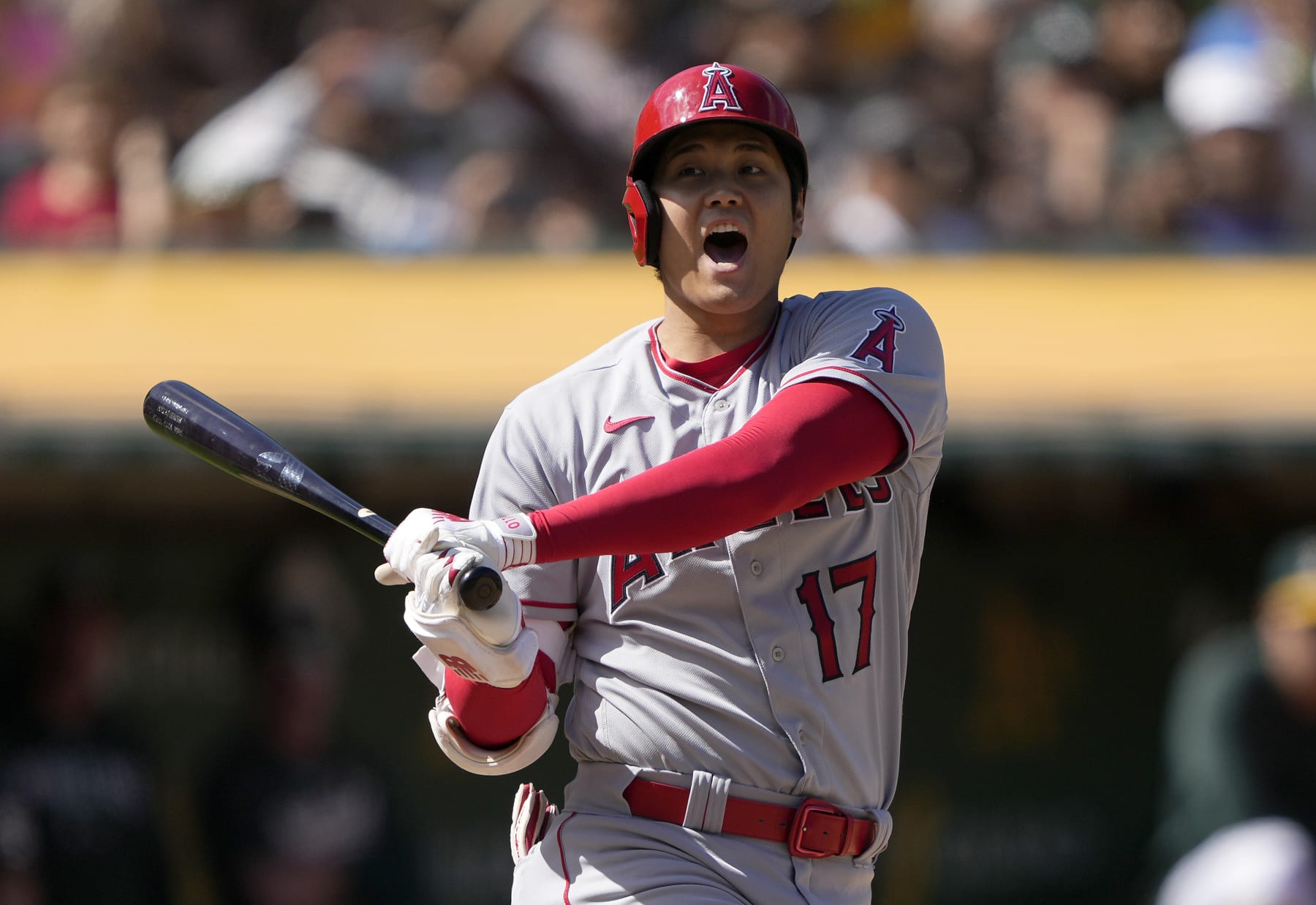 Shohei Ohtani Rumors: Dodgers Star Can Opt Out of Contract If Walter, Friedman Exit - Vimarsana News