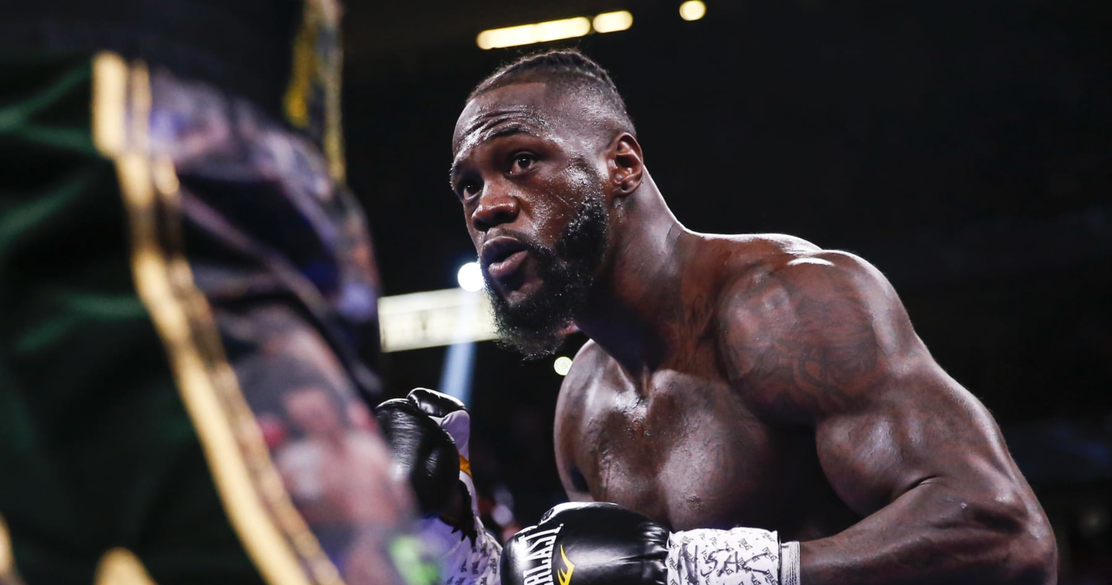 Live stream deontay hot sale wilder fight