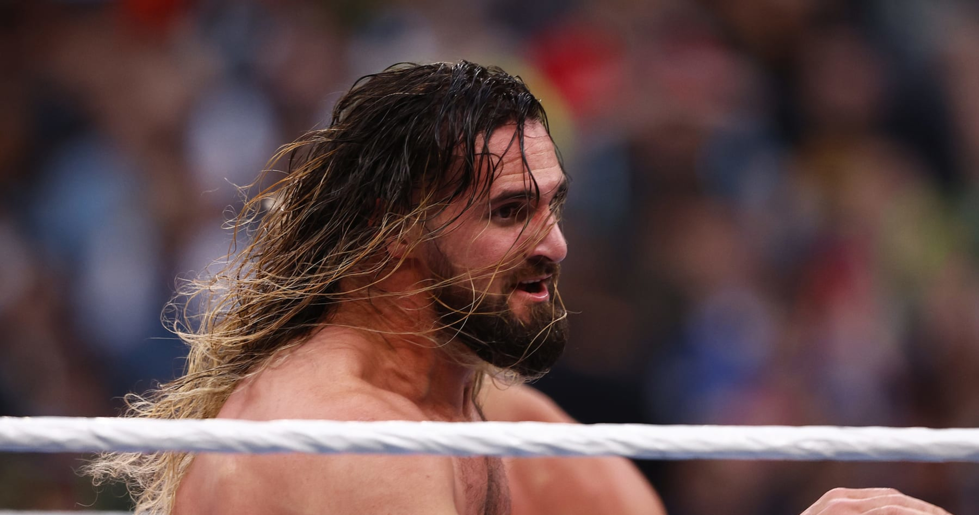 WWE Rumors on Seth Rollins vs. CM Punk, Undertaker, Royal Rumble