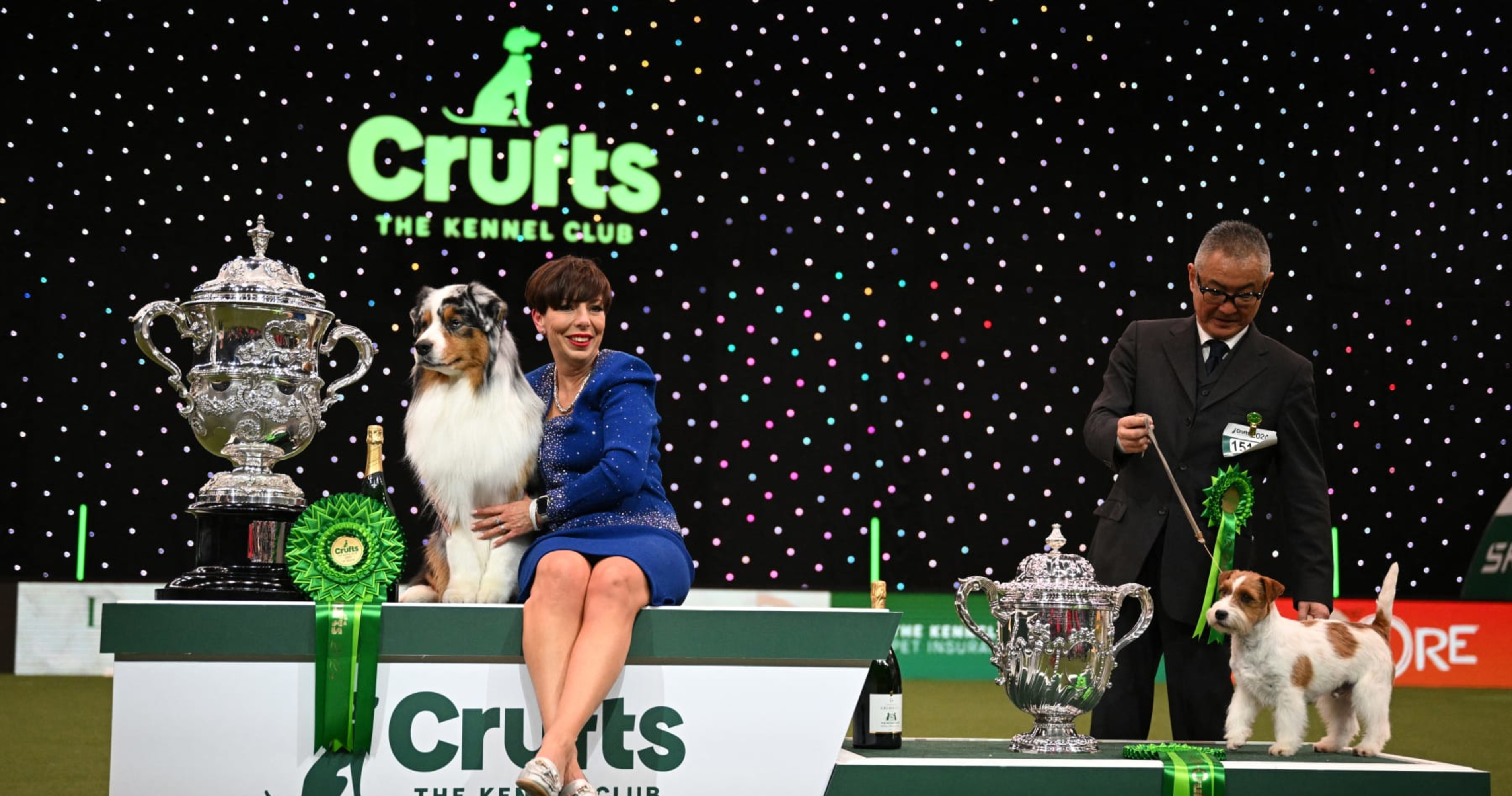 Crufts Dog Show 2024 Results Final Winners, Top Photos and Reaction