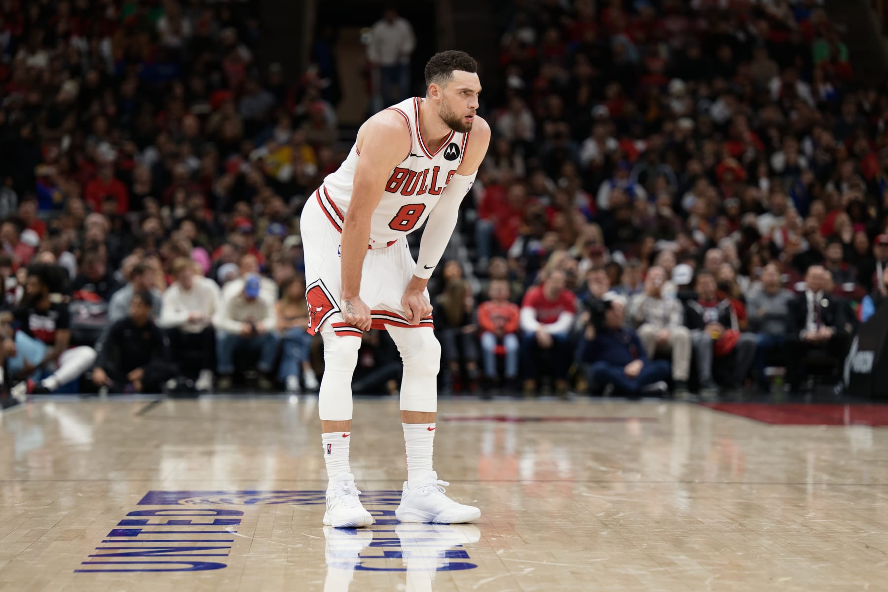 Zach Lavine Career Stats 71 - 3tpq3zv