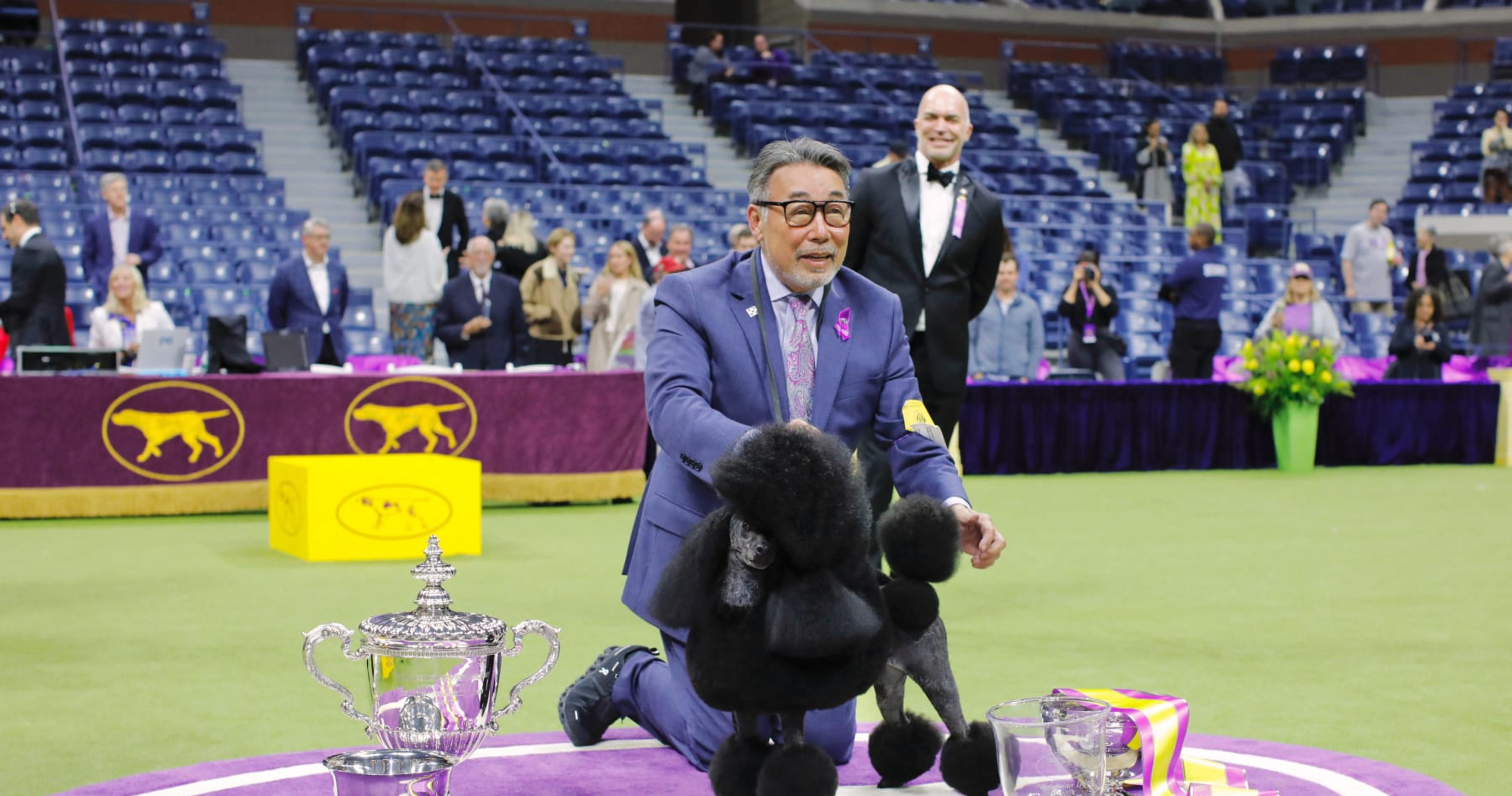 Westminster Dog Show 2024 Results Best of Breed Winners and Final