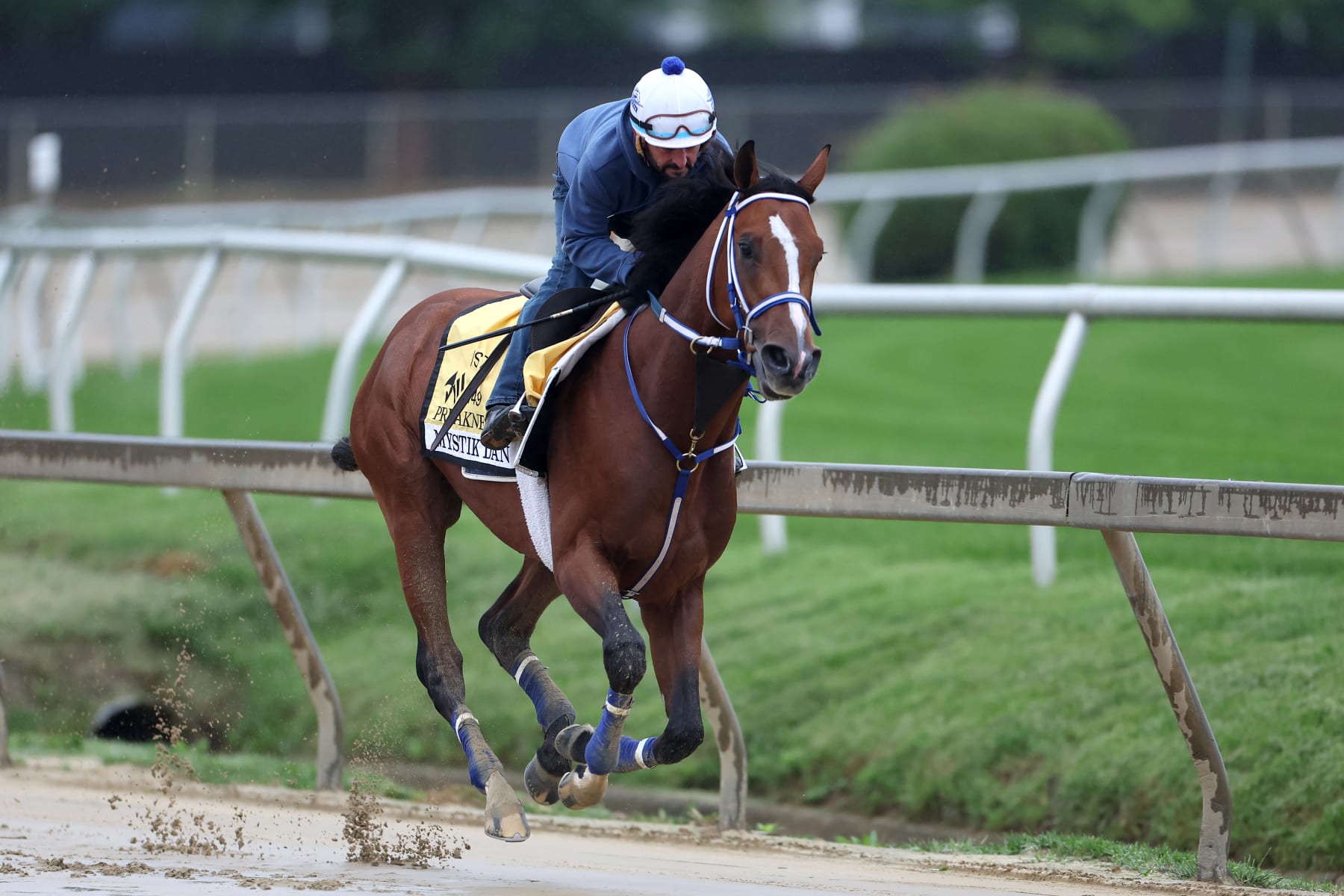 Preakness Picks 2024 Predictions and Odds for All Horses in the Lineup