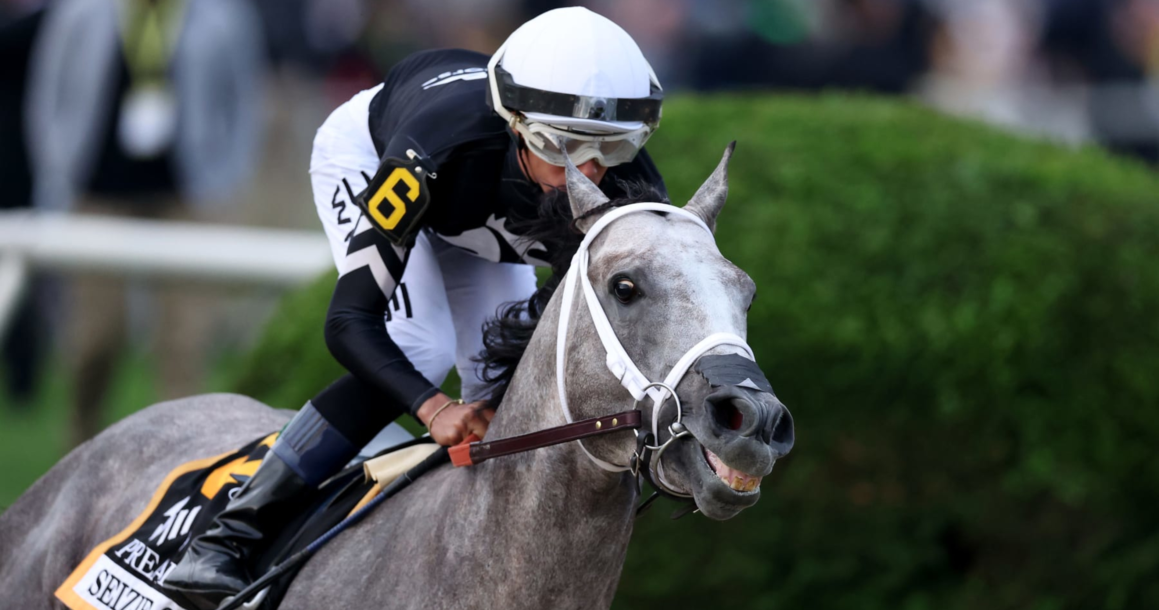 2024 Belmont Stakes Start time, odds, live stream, horses, TV channel