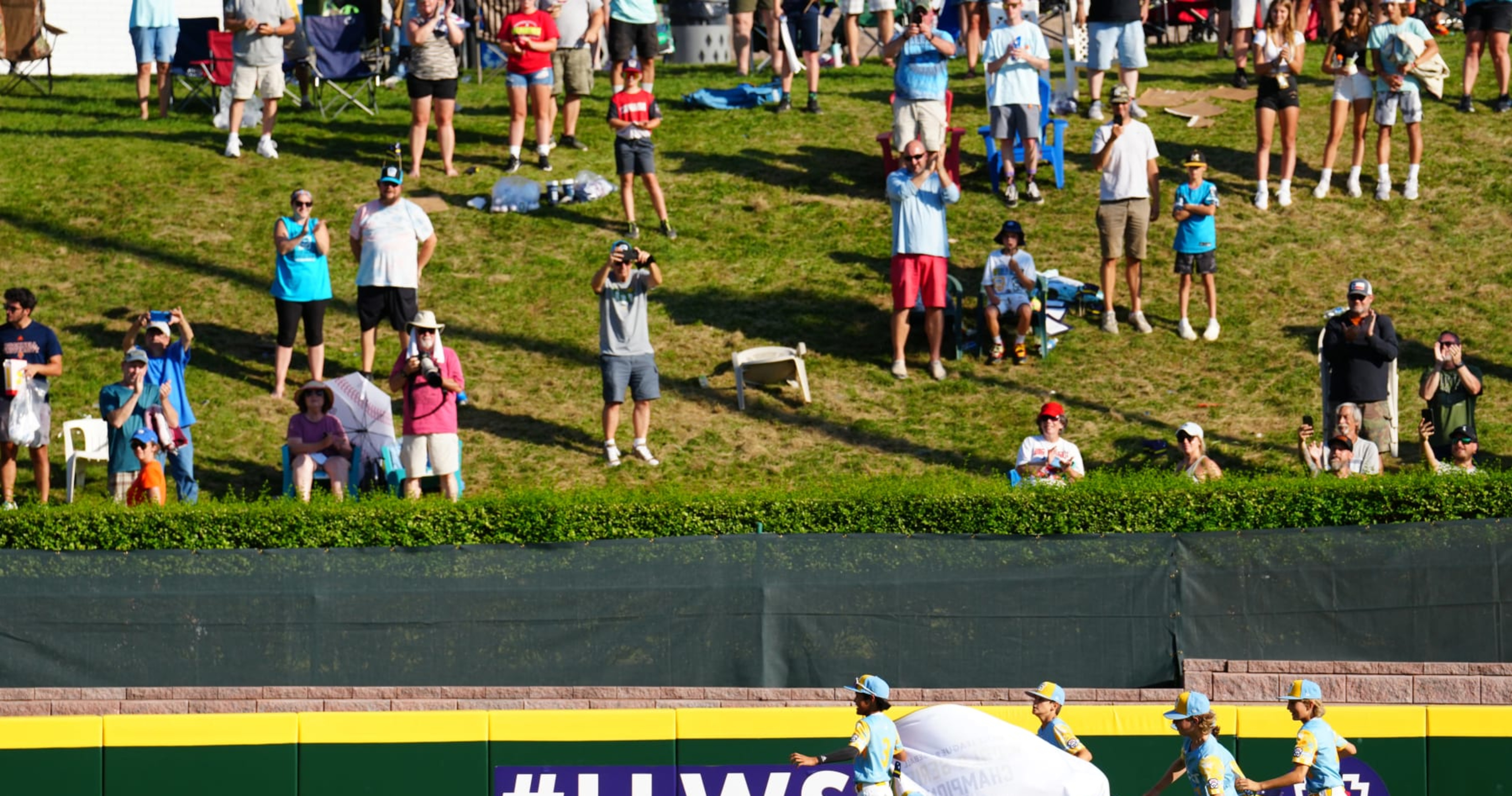 Little League World Series Regionals 2024 Scores and Bracket Results