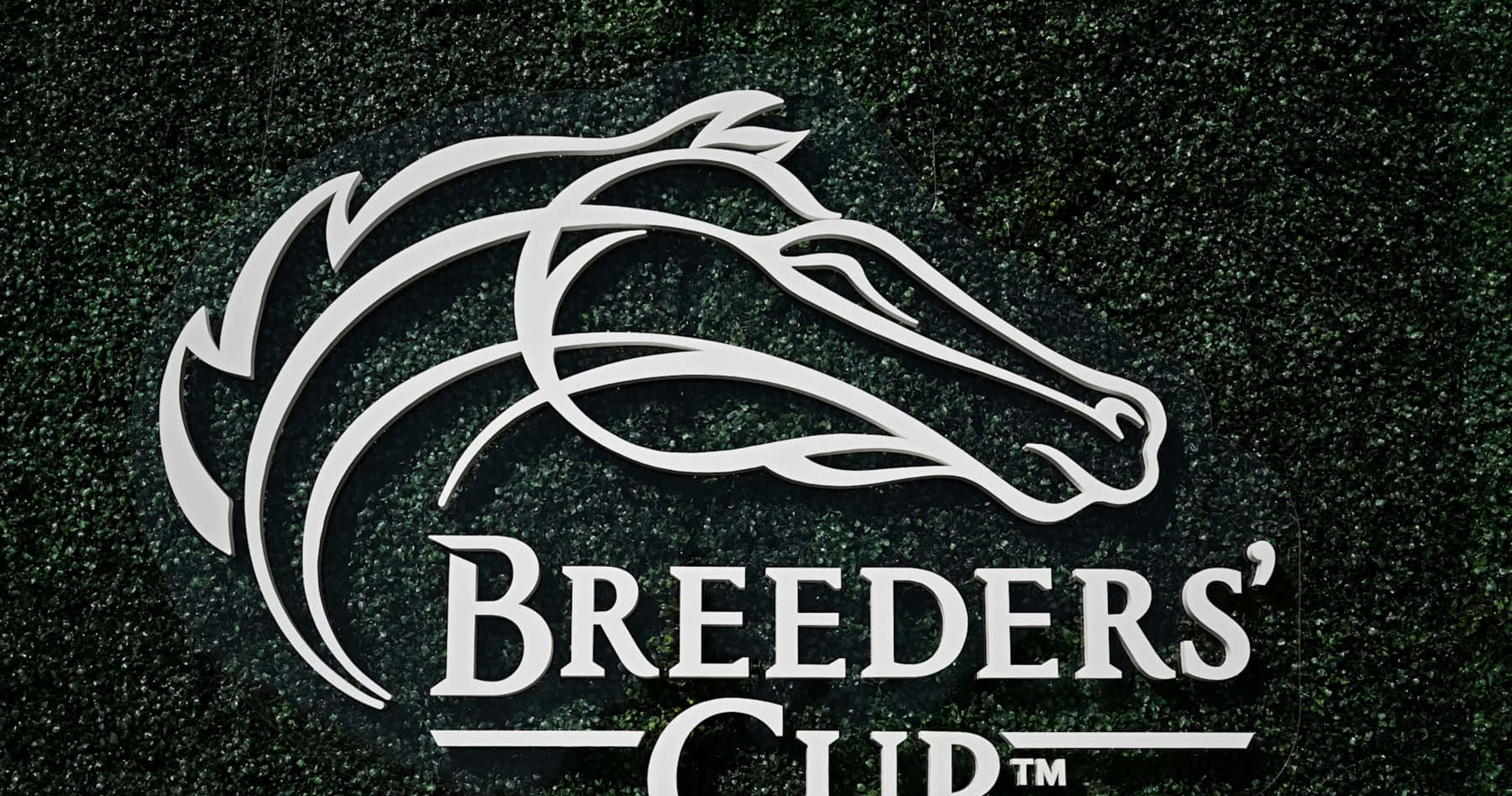 Breeders’ Cup 2024 Results: Tracking Winners, Prize Money Payouts on Friday