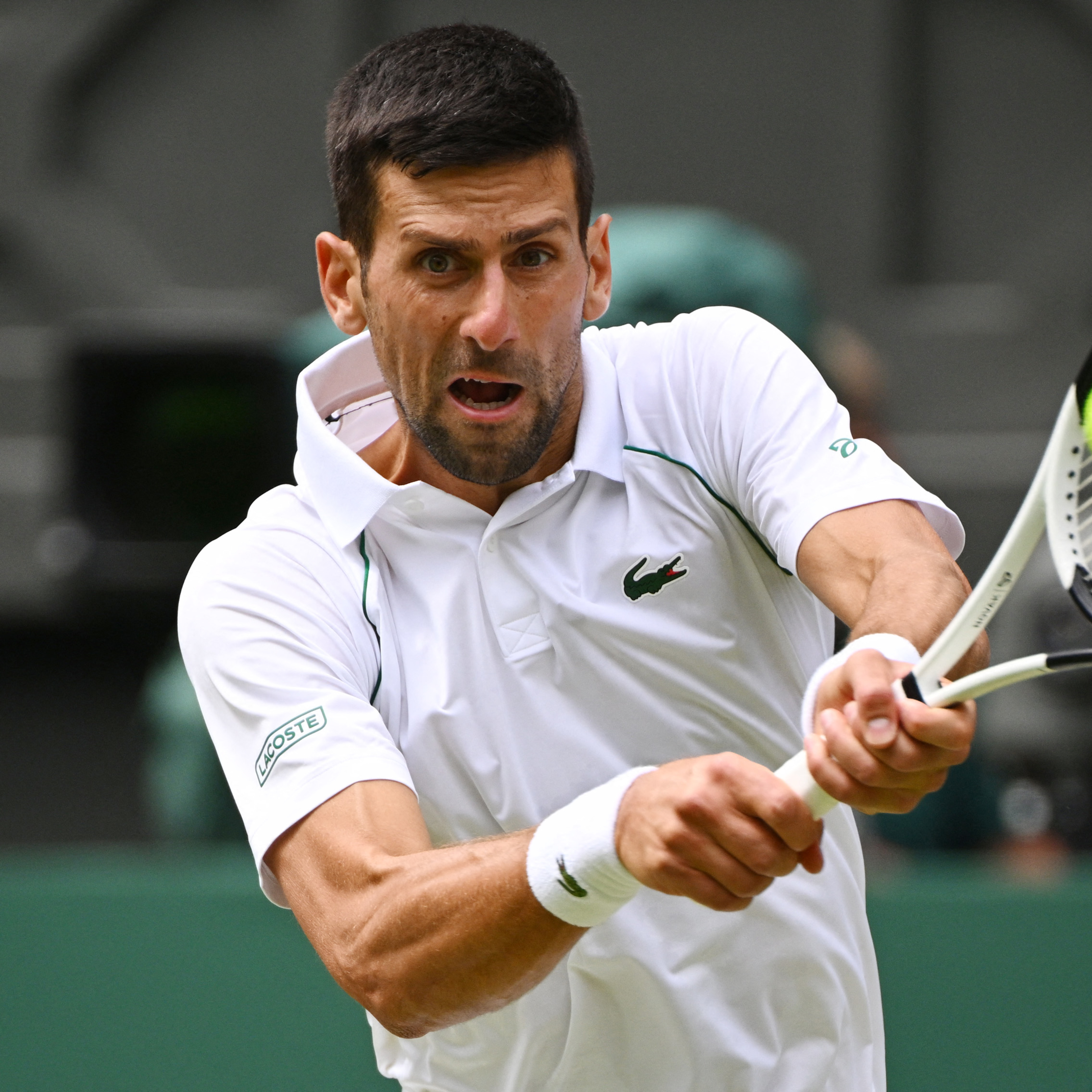 Novak Djokovic Jannik Sinner Wimbledon