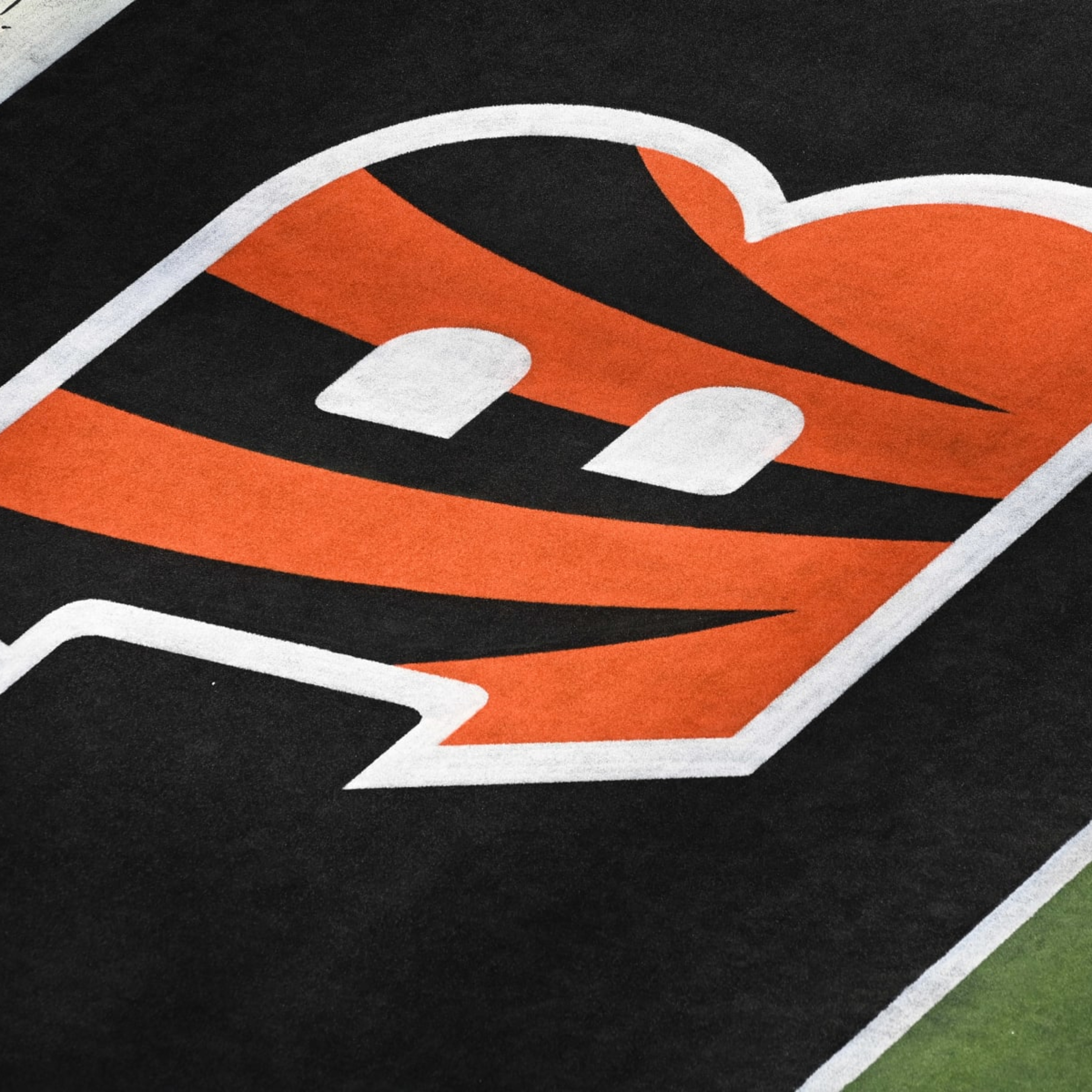 Report: Cincinnati Bengals Looking to Sell Naming Rights to Paul Brown Stadium