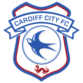 Cardiff team logo