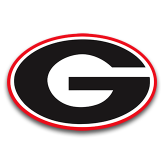 Georgia team logo