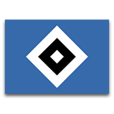Hamburg team logo