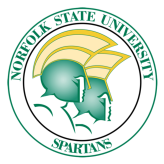 Norfolk St. team logo