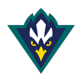 North Carolina-Wilmington team logo