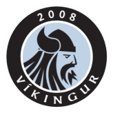Vikingur Gota team logo