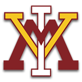 VMI team logo