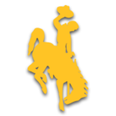 Wyoming team logo